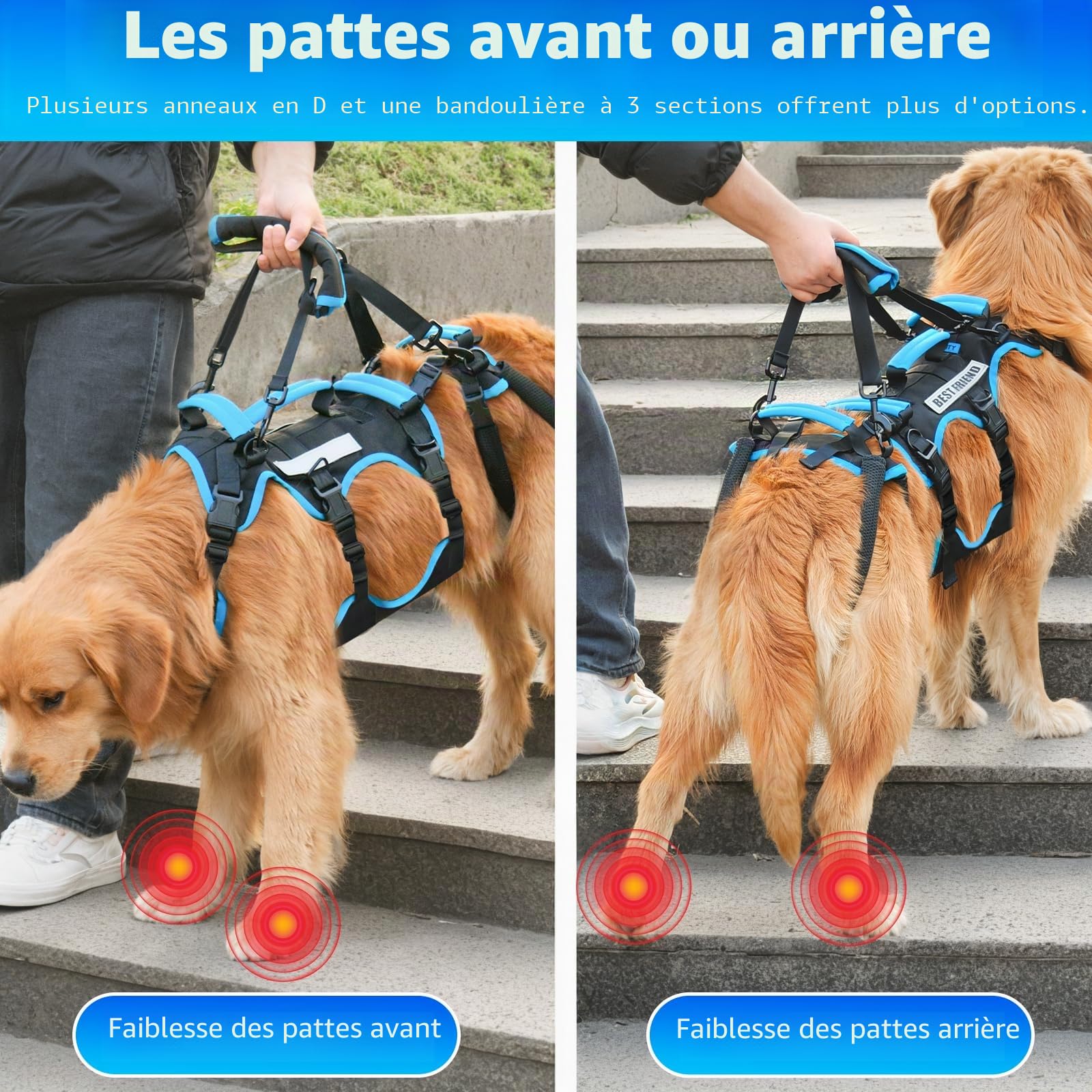 Harnais de Levage pour Chiens Grands Mâles – Harnais 2-en-1 Aide à la Levée, Soutien des Pattes Arrières & Assistance Mobilité pour Chiens Âgés (Noir, Grand)