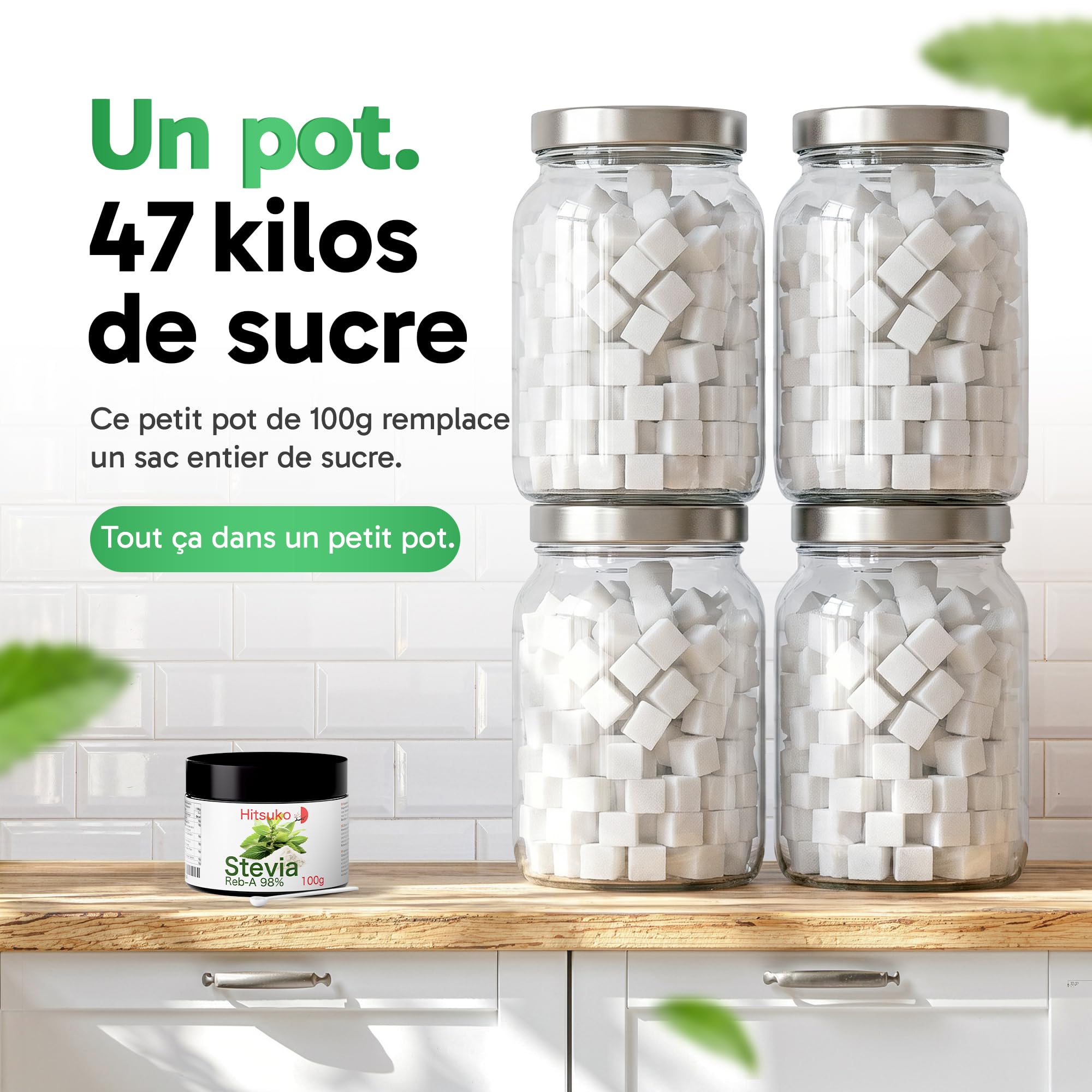 Poudre de Stévia Ultra-Concentrée (100g) | RebA-98 Pur à 98% | 470x Plus Sucrant que le Sucre