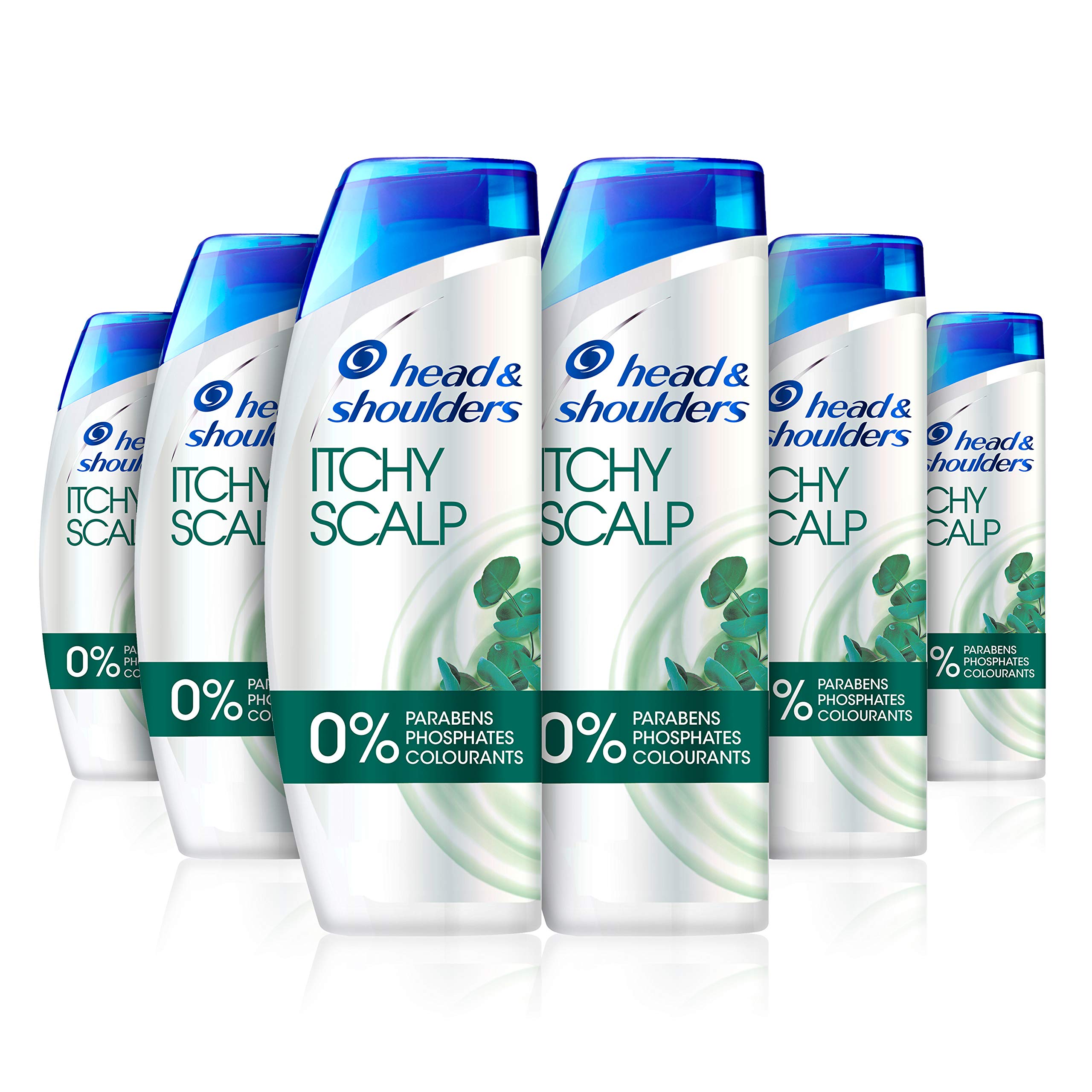 Head & Shoulders Anti-Dandruff Shampoo for Itchy Scalp 250 ml, Pack of 6 with Eucalyptus, 250 Milliliters