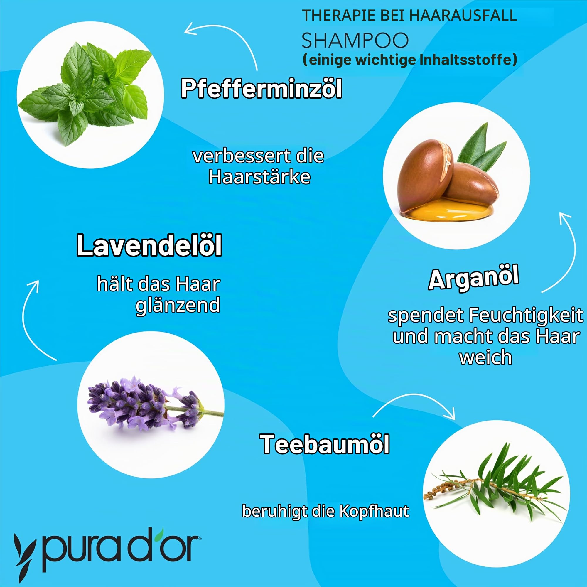 Pura D'Or PURA D'OR Biotin-Shampoo zur Haarausfall-Therapie, Duft Vanille-Lavendel (473 ml), mit Arganöl, pflanzlichen DHT-Blockern, ohne Sulfate, natürlichen Inhaltsstoffen, für Männer und Frauen, al