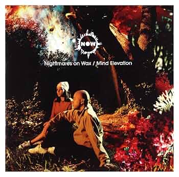 Nightmares on Wax Know My Name 12インチレコード NIGHTMARES ON WAX / Know My Name (Disc 1) (Warp Records