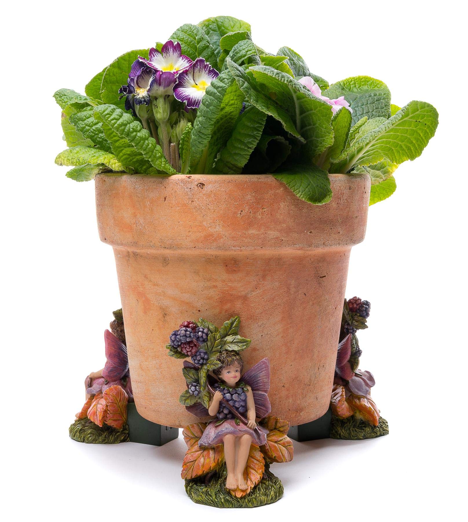 Potty Feet Plant Pot TrioBlackberry Fairy from B&Q