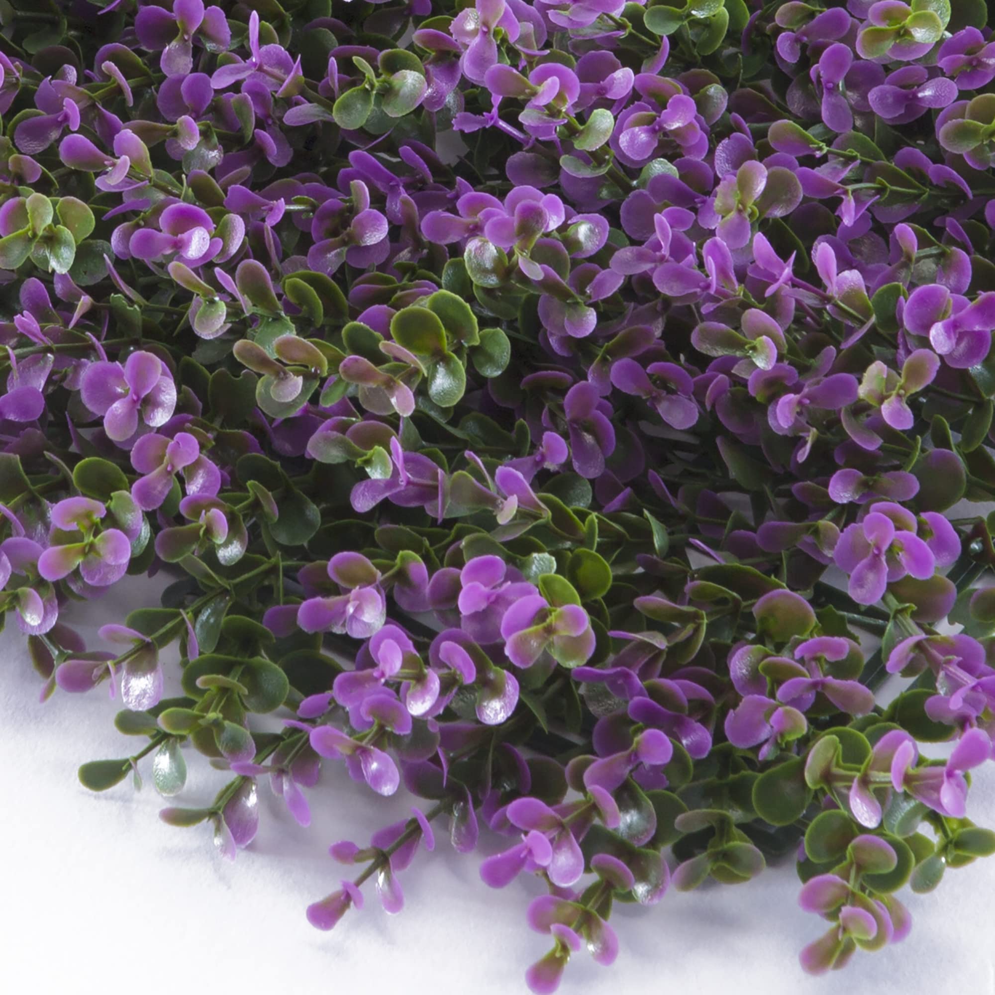 Tenax Divy Panel Buxus Lilac 0,50 x 0,50 m Verde-Lila, Panel Modular con Hojas Artificiales Tipo Boj para Decoración de Pared Jardín Vertical