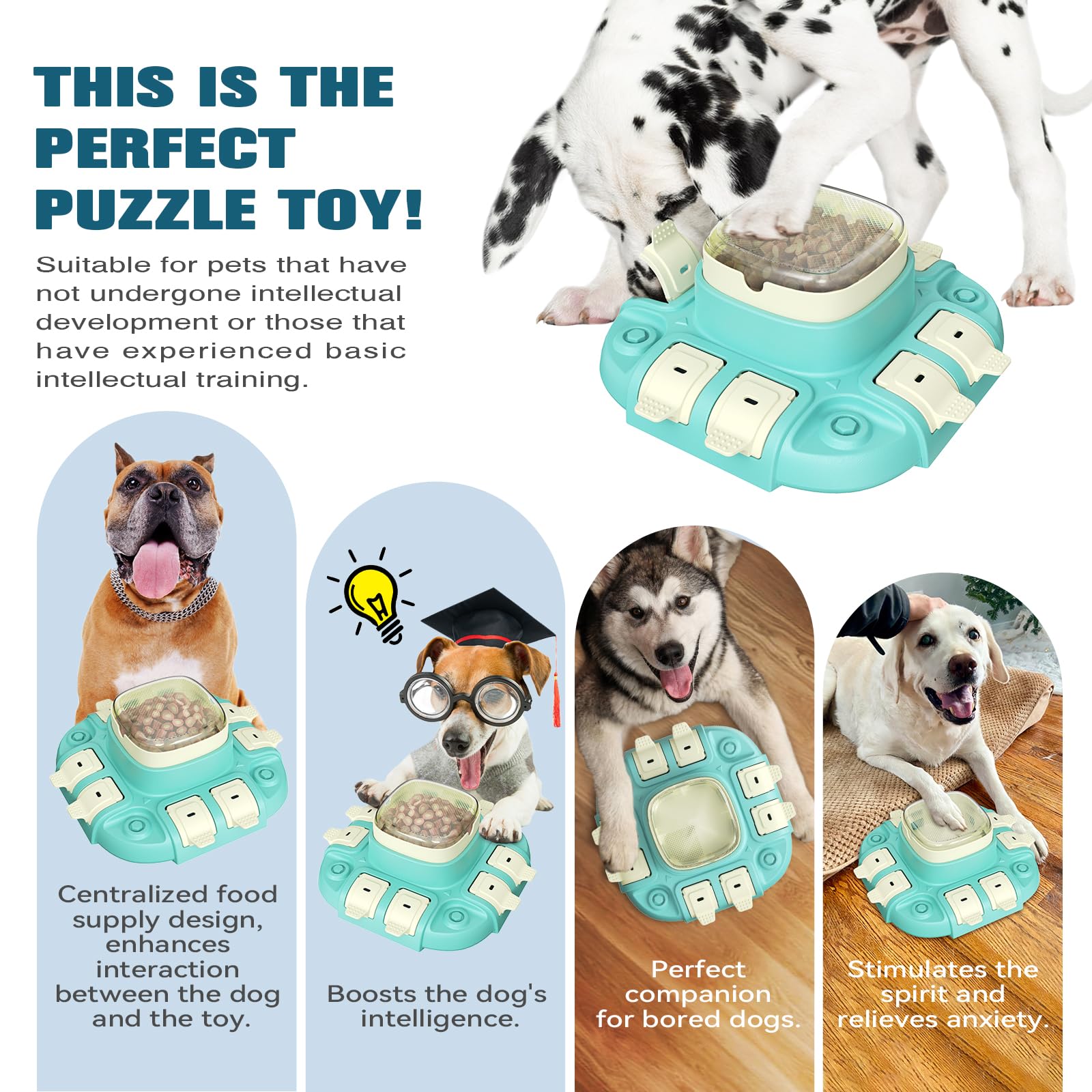 Treats Blue Interactive Puzzle Toy For Large, Medium, Small Smart