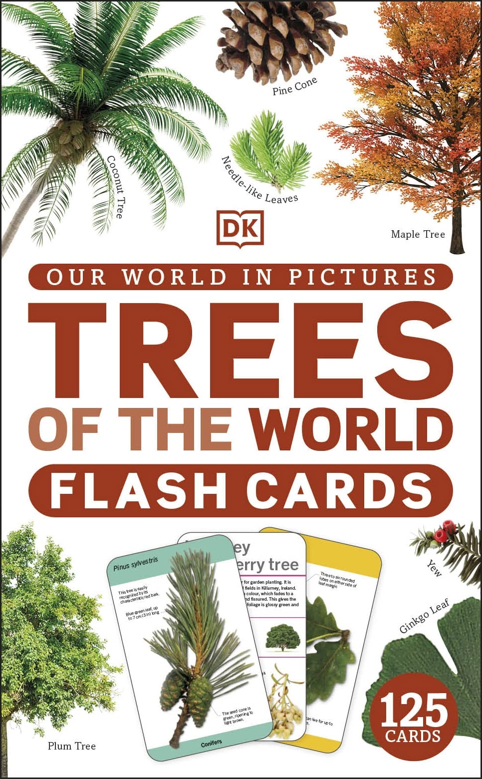 Our World in Pictures Trees of the World Flash Cards: With Adorable Animals to Touch and Discover!