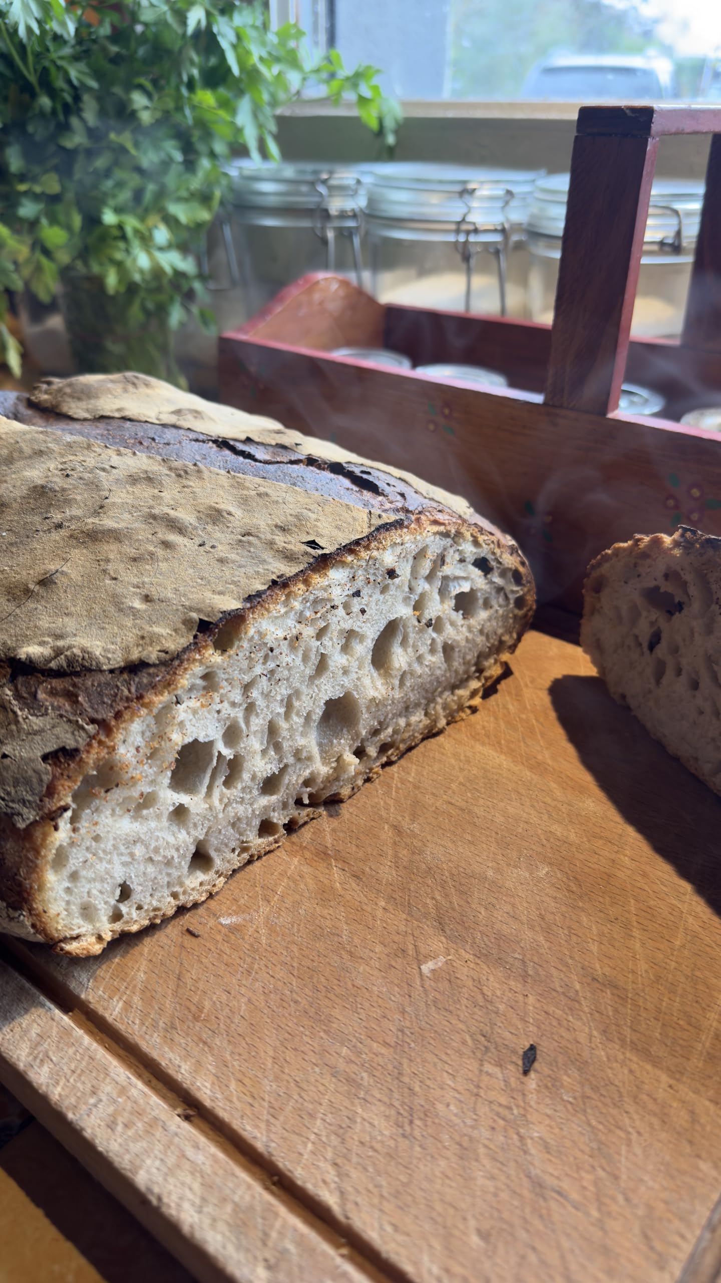 MYLEVAIN Francuskie naturalne płatki na zakwasie - Żywy organiczny zakwas - 2009 vintage