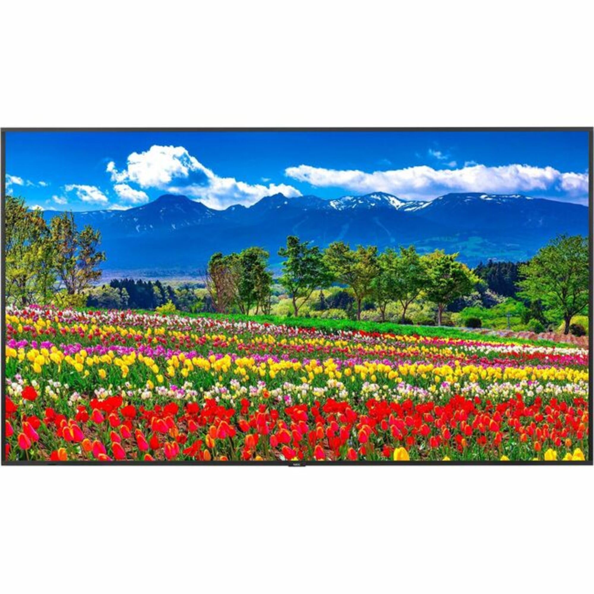 Amazon.com: NEC M751 75 Led LCD Uhd 24/7 500nits High Haze Hdmi X2