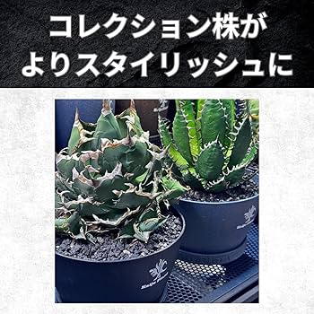 Amazon | Kaiju Plant 怪獣バサルト|化粧石 化粧砂 黒|玄武岩|園芸 Amazon | Kaiju Plant 怪獣バサルト|化粧石 化粧砂 黒|玄武岩|園芸
