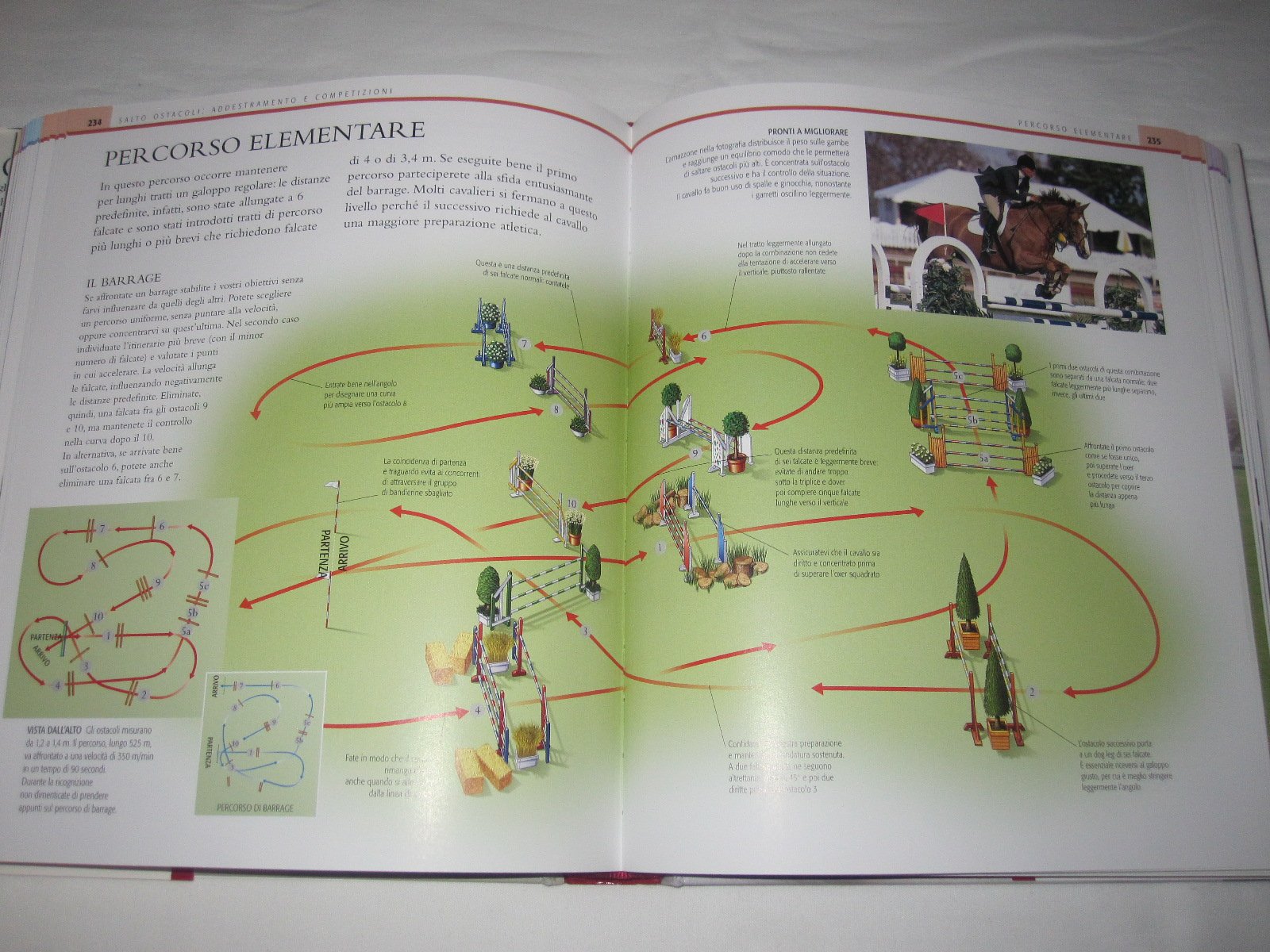 Manuale completo di equitazione. Ediz. illustrata