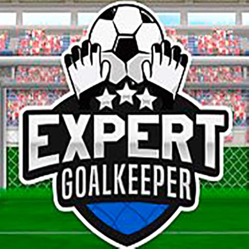 Expert Goalkeeper