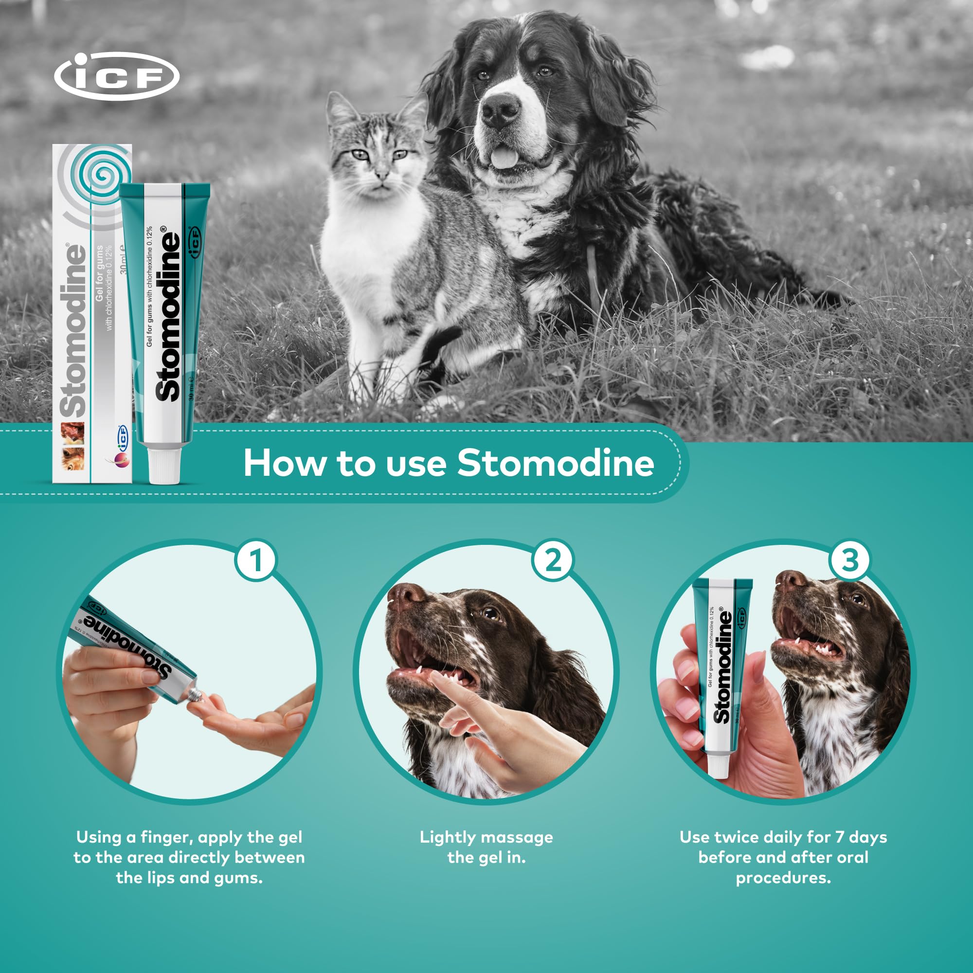 I.C.F. Stomodyne 30 Ml