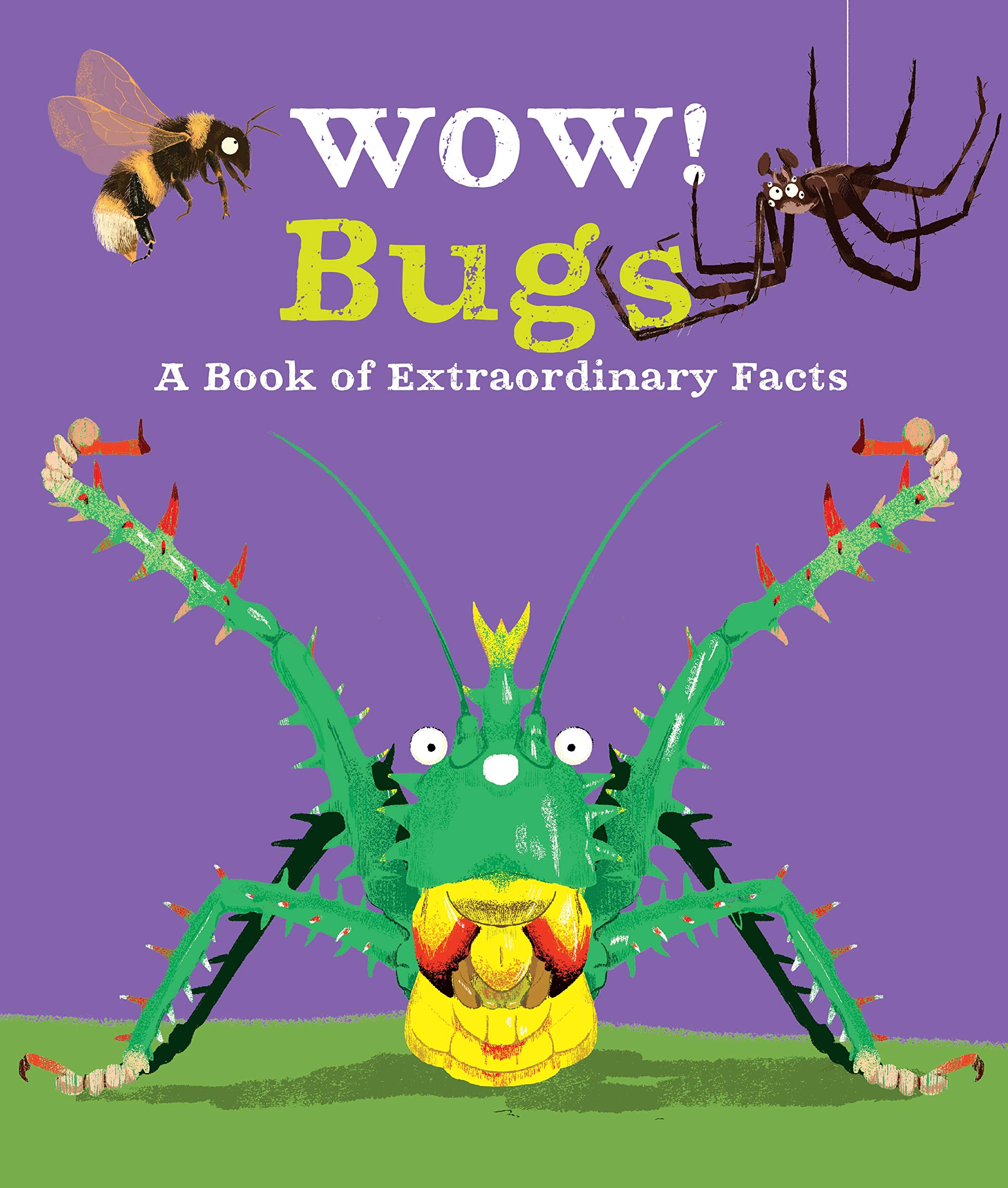 Wow! Bugs (Wow!, 5)