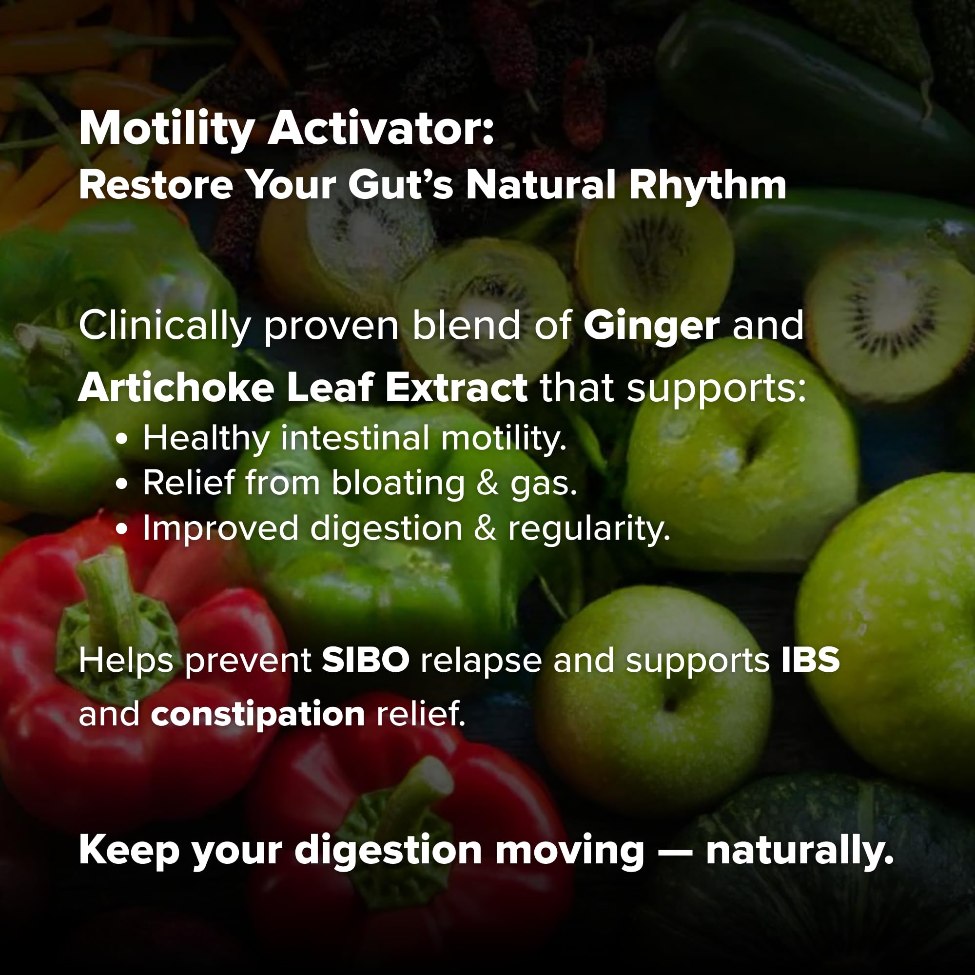 Motility Activator by Dr. Rajsree, MD | Digestive Support for Gas, Bloating & Occasional Constipation | Promotes Small Intestine Movement | Ginger & Artichoke Extract | 60 Capsules — Amazon image 4