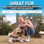 Heavy Duty Long Nylon Dog Leash with Two Padded Handles - Automatic Lock Collar Clasp and Comfortable Traffic Control Handle - Patterned Pet Lead for Small, Medium, and Large Breeds