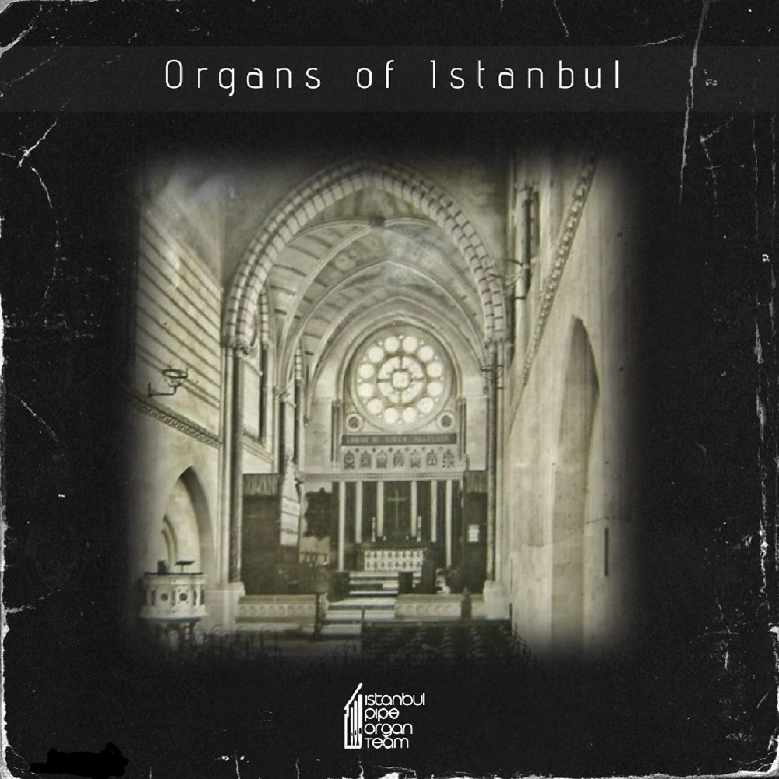 Istanbul Pipe Organ Team