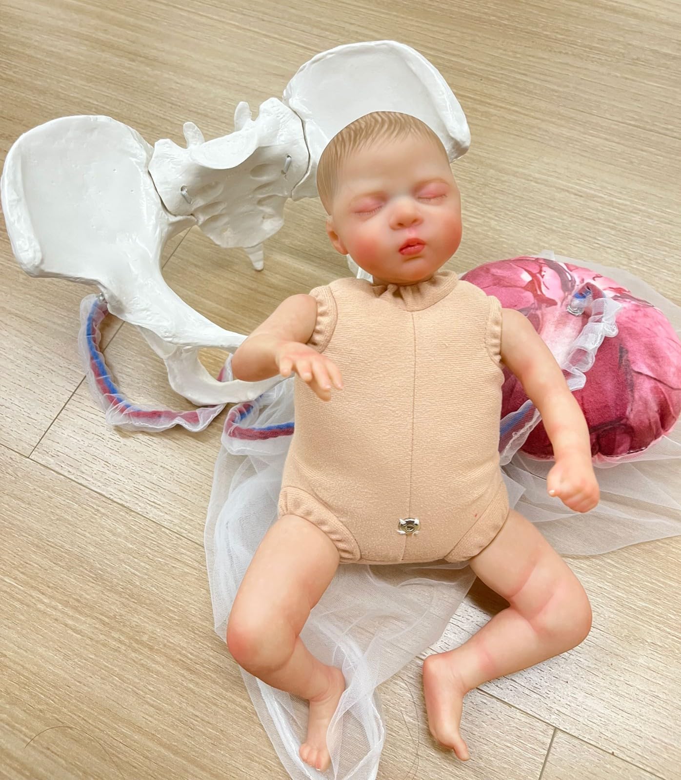 Weibliches Geburtsmodell Für Hebammen Mit Baby Modell Inkl Nabelschnur,Plazenta Und Beckenboden Modell Für Geburtshilfe Und Schulung in Der Weibliche Pelvis Geburtstagsmodell(B)