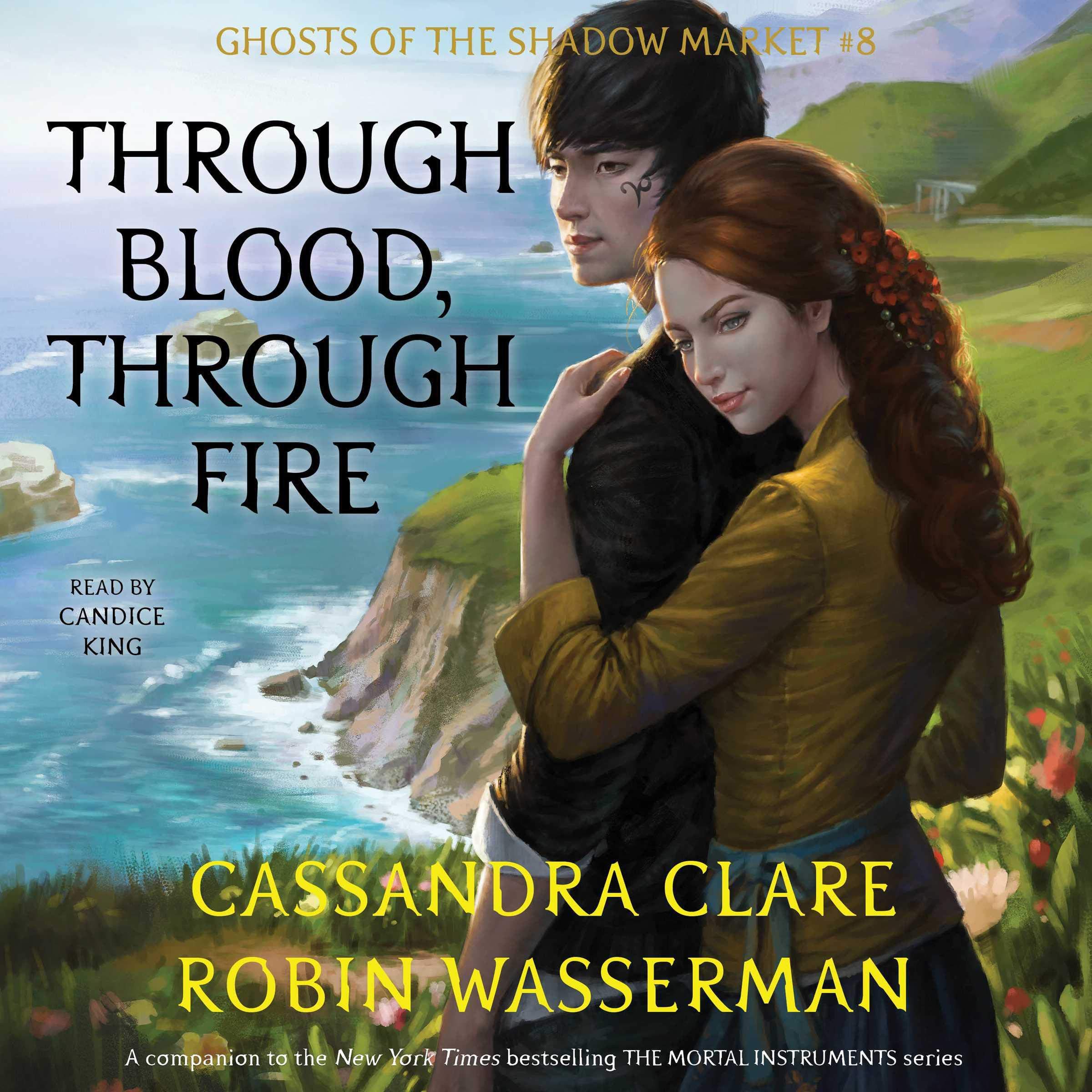 Cover art for Through Blood, Through Fire