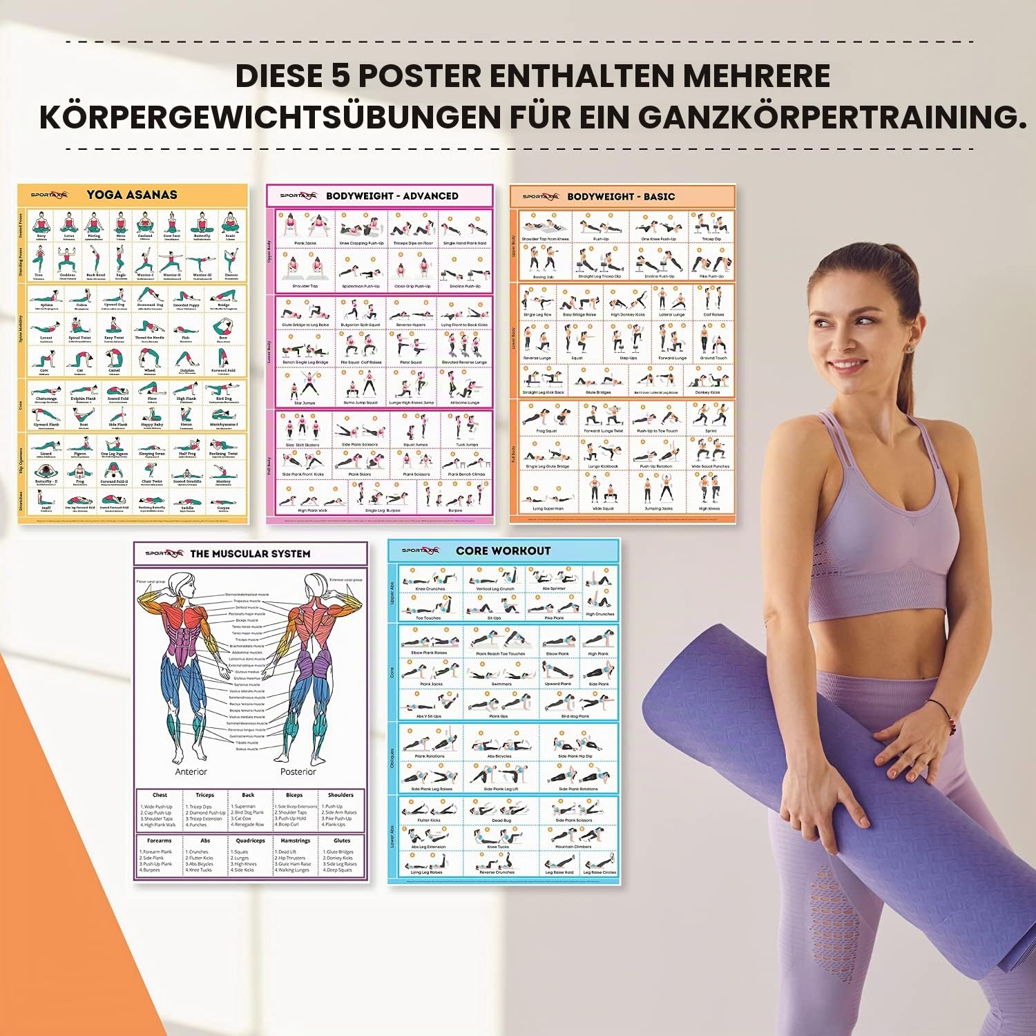 SPORTAXIS laminierte Workout-Poster für daheim ohne Geräte, Farbabbildungen, Bodyweight-Grund-/Aufbauübungen, Yoga, Abs-Training für Männer und Frauen, 45,7 x 68,6 cm, 5 Stück, englische Version