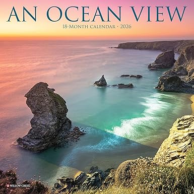 Amazon Ocean View 2026 7 X 7 Mini Wall Calendar Willow Creek Press
