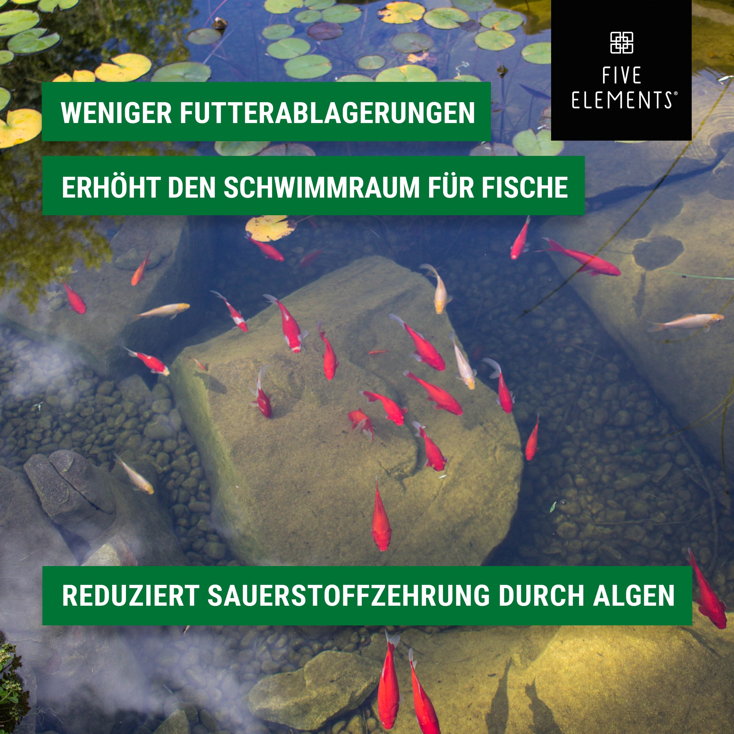 FIVE ELEMENTS® Intensiv-Algenfrei | hochwirksamer Fadenalgenvernichter für klaren Teich | für Koi-Teich geeignet | 5 kg