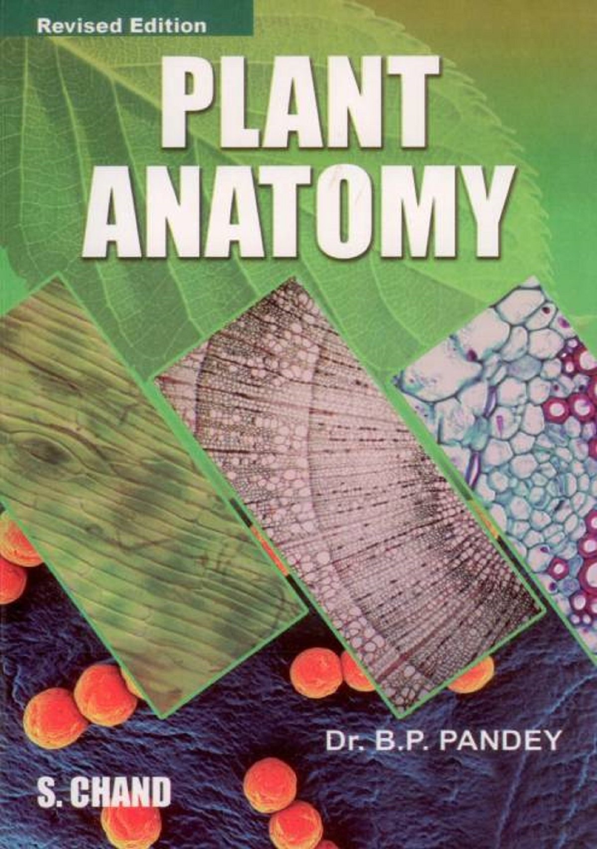 Plant Anatomy Paperback – 31 January 2001