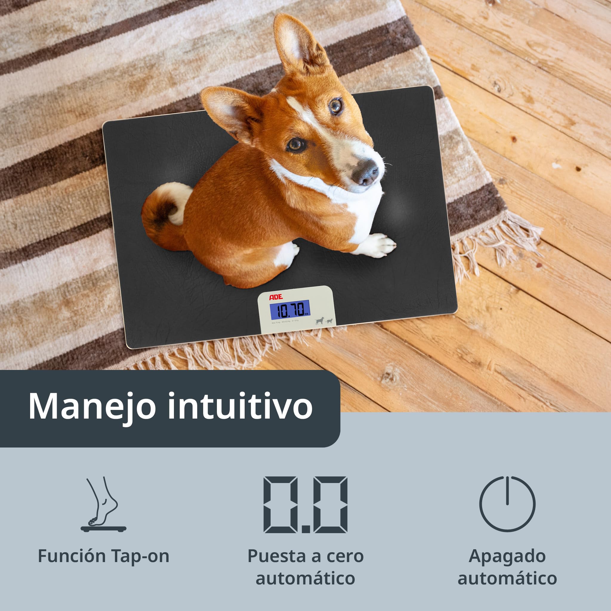 ADE Báscula digital para animales de hasta 75 kg | Báscula para perros con pasos de 50 g | para mascotas pequeñas y medianas | superficie amigable con las patas | también como báscula para gatos y