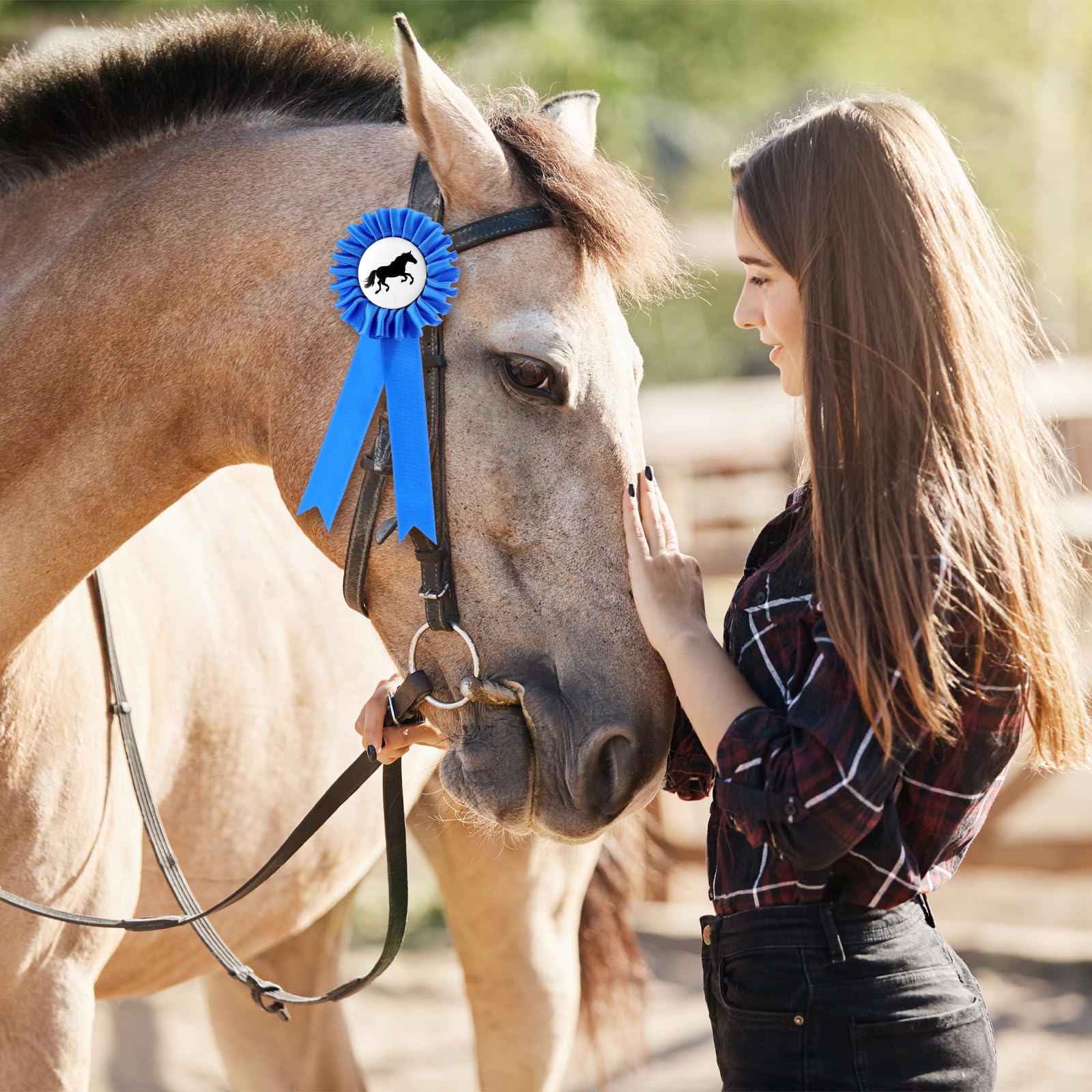 Paquete de 5 arcos de torneo para caballos, con doble roseta, arcos de premios para eventos ecuestres, coloridos