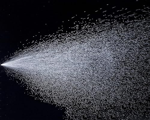 Miniatura 6 de Zep Pulverizador ácido de 2 galones (cada uno) - 783101 - Acción de bomba resistente a productos químicos de grado industrial, boquilla ajustable,