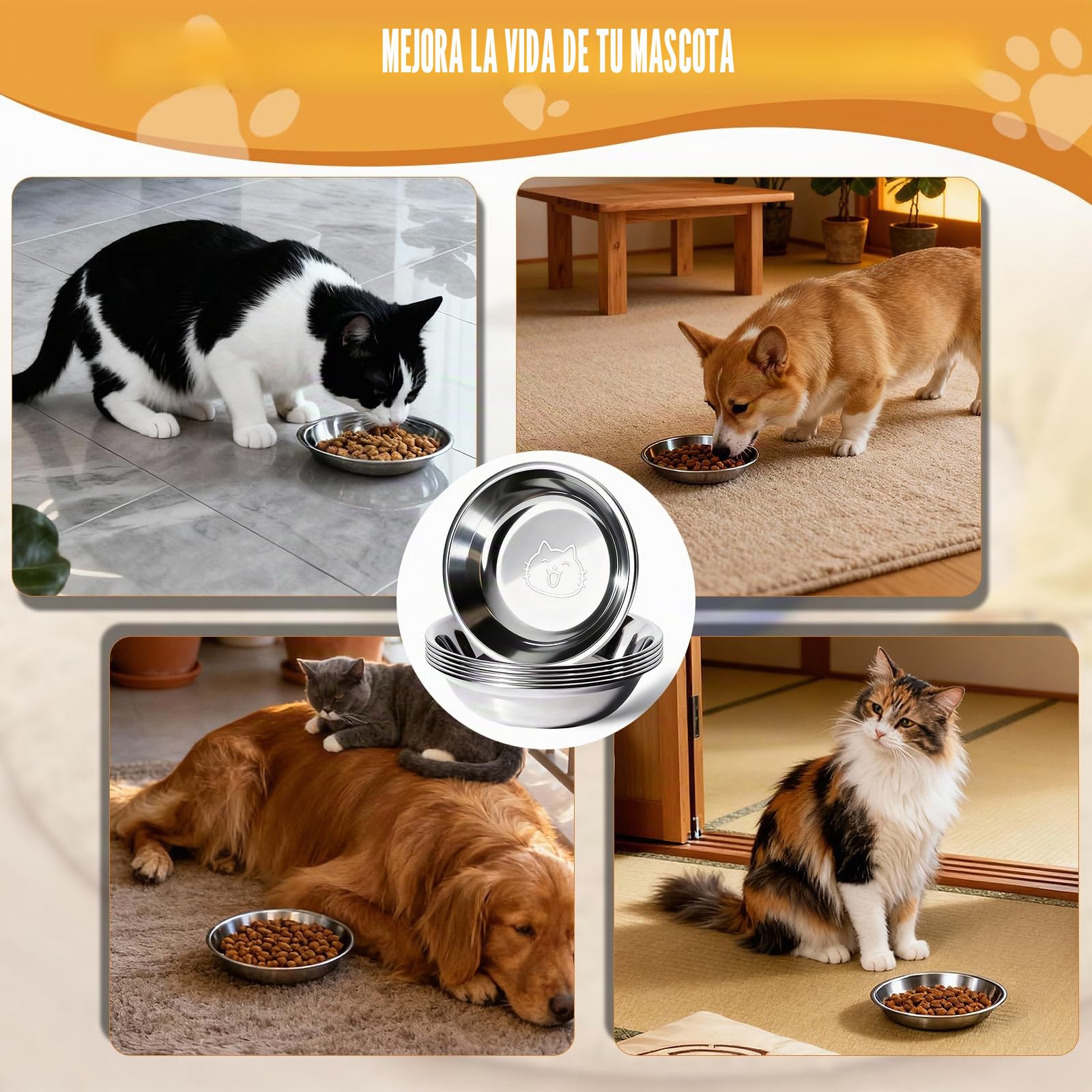 6 Piezas Cuenco para Gato Inoxidable 304, Cuenco Plano para Gatos Aliviar La Fatiga de Los Bigotes, para Alimentación de Cachorros Gatos 14,5 × 3 cm