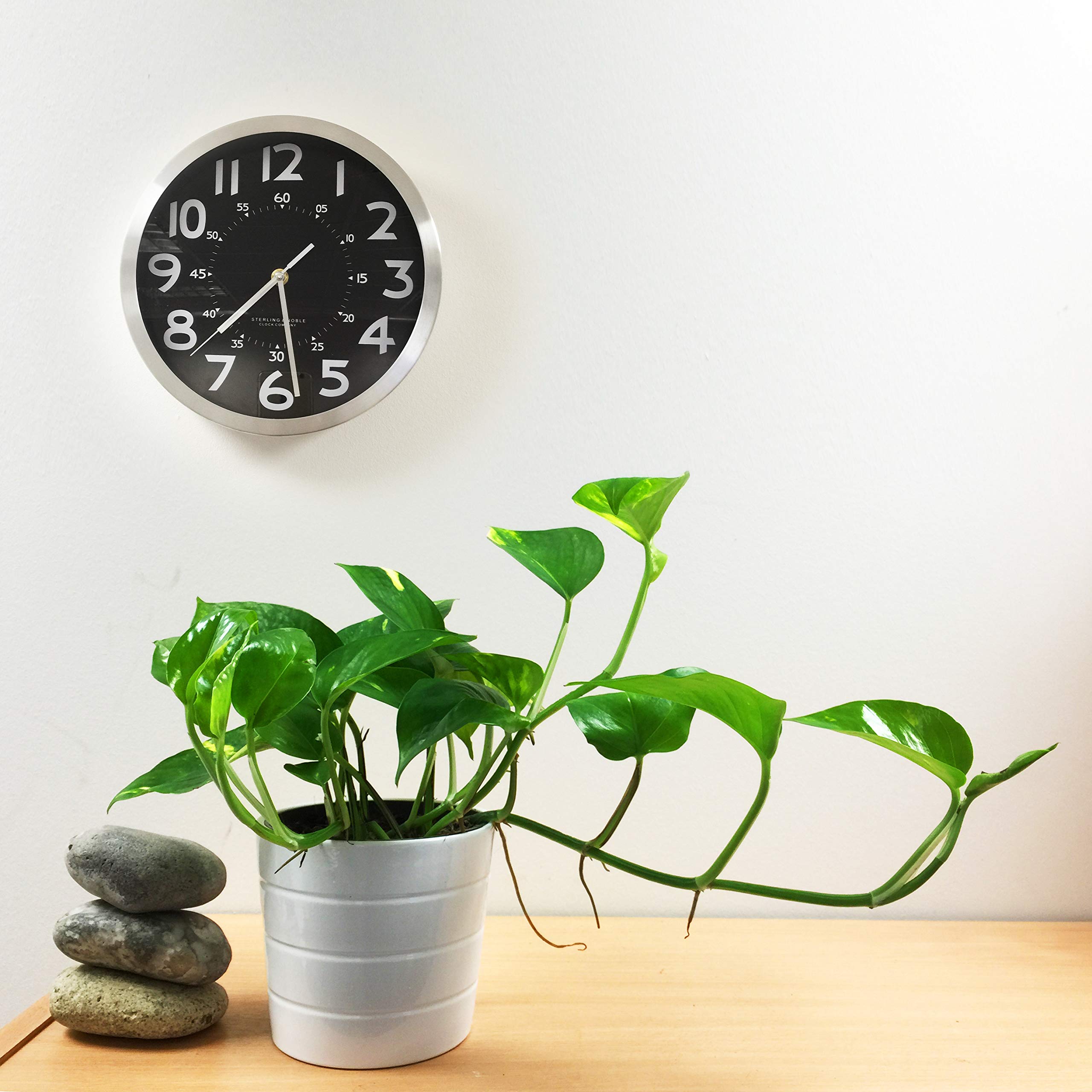 Easy Plants® Devil's Ivy Golden Pothos Ivy Arum House Plant in White Ceramic Pot & Autumn Gold Gravel Top Dressing