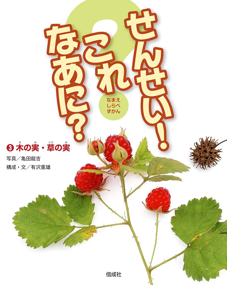 木の実 草の実　カラーブックス 木の実 草の実 カラーブックス