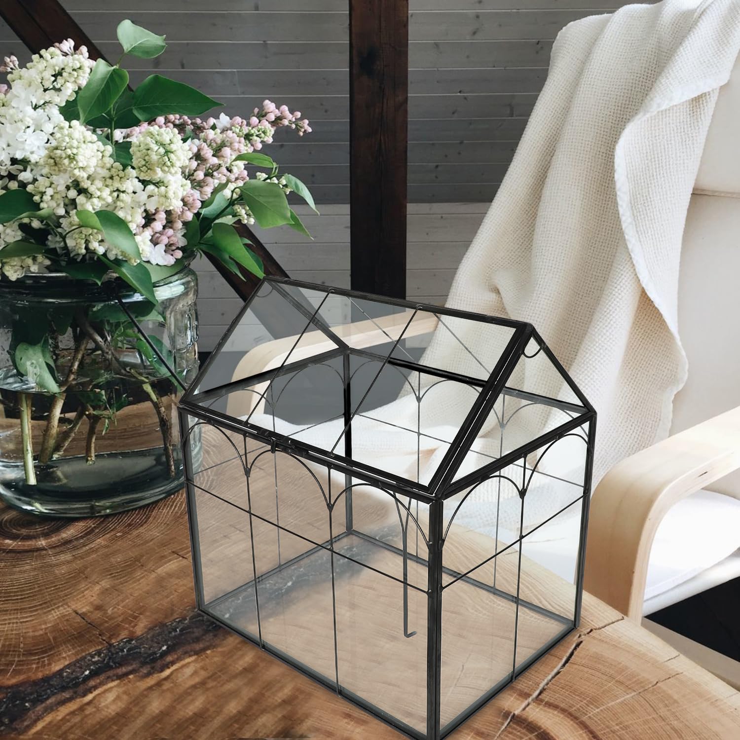 Terrarium en verre 22 cm pour plantes carnivores grasses géométrique