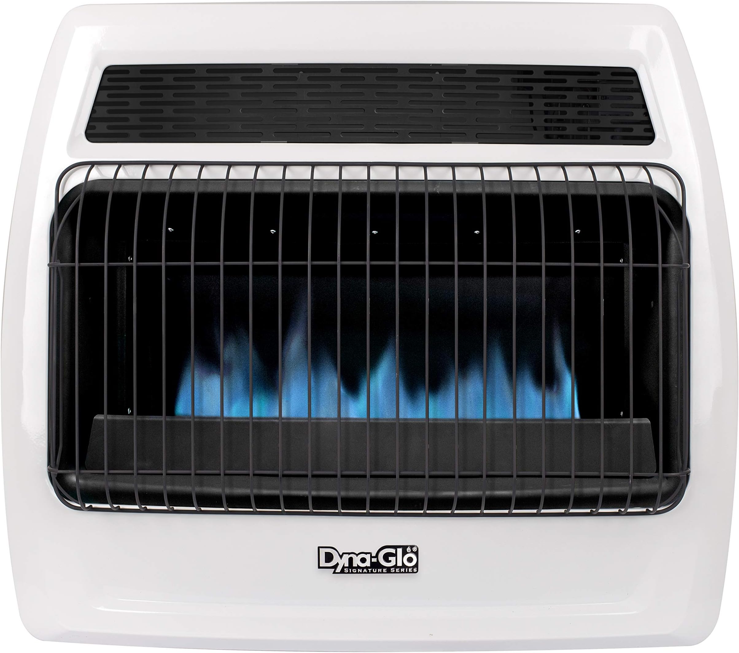 Amazon.com: Dyna-Glo BFSS30NGT-4N 30,000 BTU Natural Gas Blue Flame ...