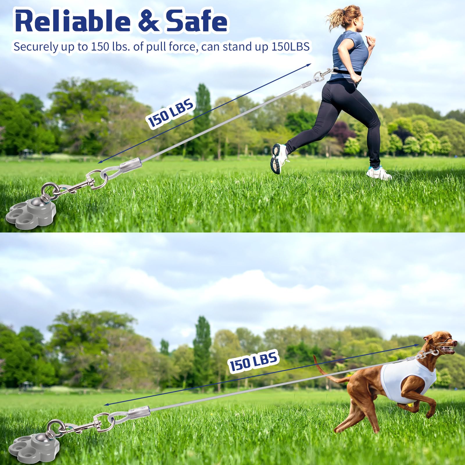 Camping Dog Tie Out Cable Heavy Duty Dog Tie Out Cable & Stake - 16FT Rust  Proof Tether For Yard & Camping | Up To 200 Lbs Capacity Dog Lead For Yard