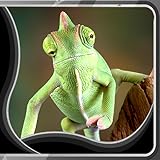 wand streichen streifen lassen  Völlig kostenloser Hintergrund