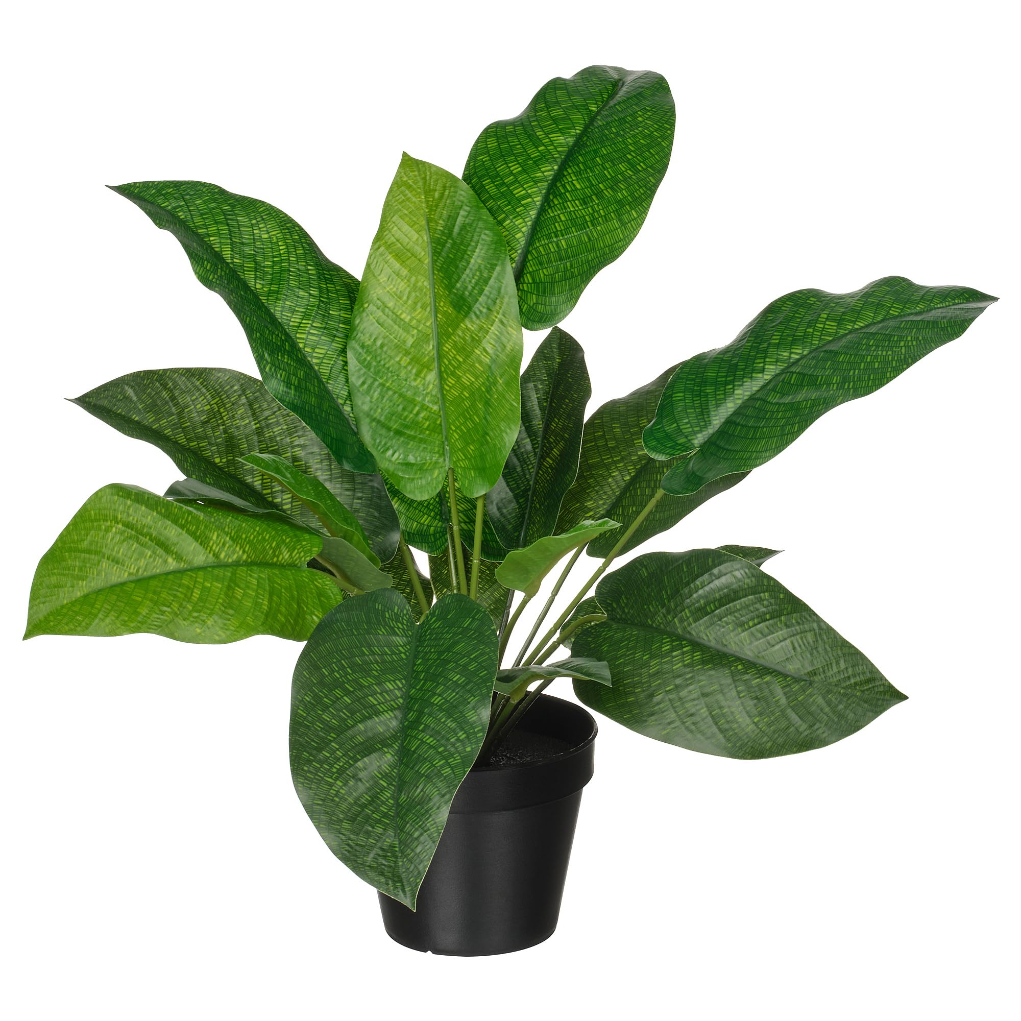 Calathea plante artificielle ProTuning pour sublimer votre salon ou balcon en un clin d'œil
