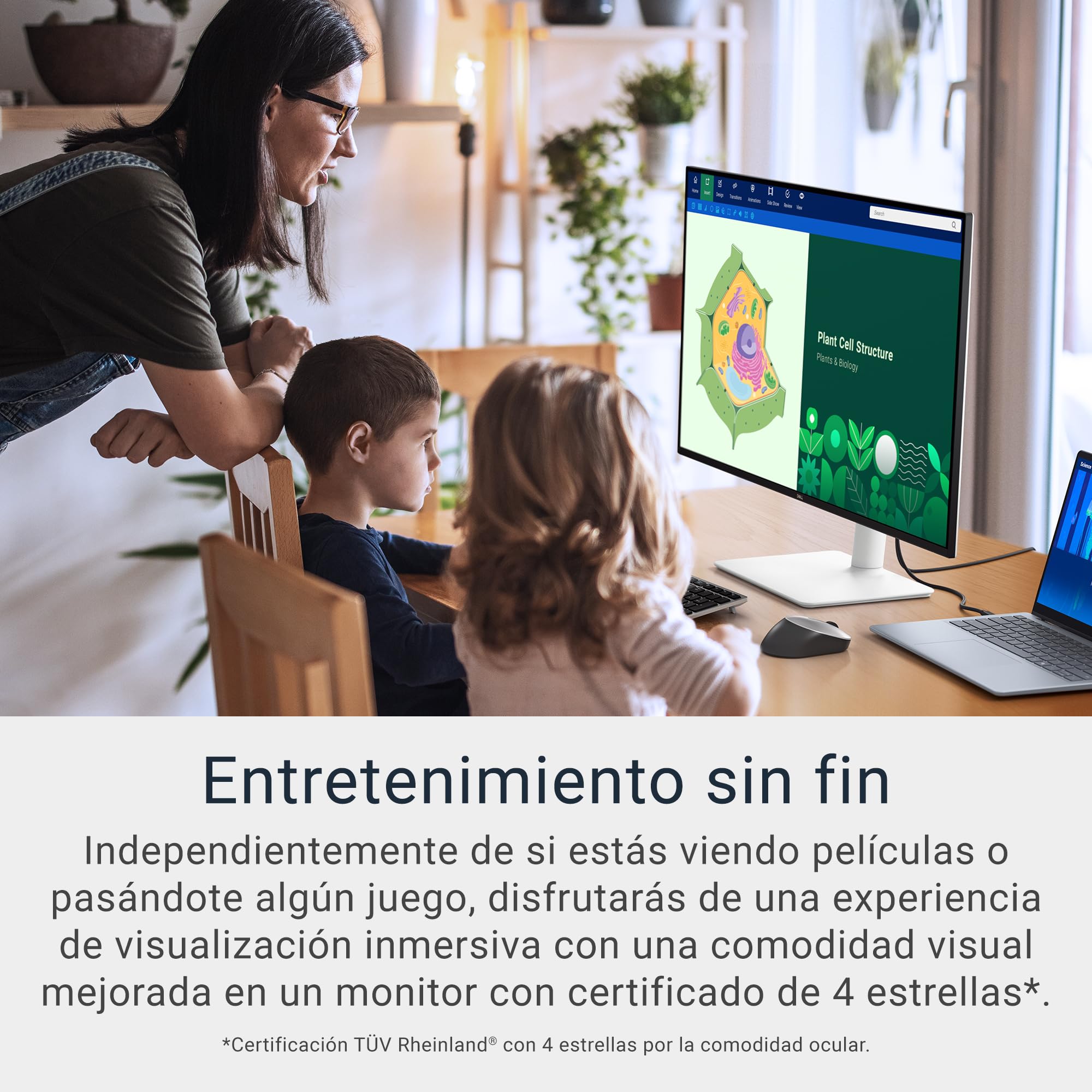 DELL 32 Plus Monitor - S3225QS, 4K UHD (3840x2160), 120Hz, VA, 4ms, AMD FreeSync Premium, 95% DCI-P3, HDR10, Ajuste de Altura, Altavoces Integrados, DisplayPort, 2 HDMI,