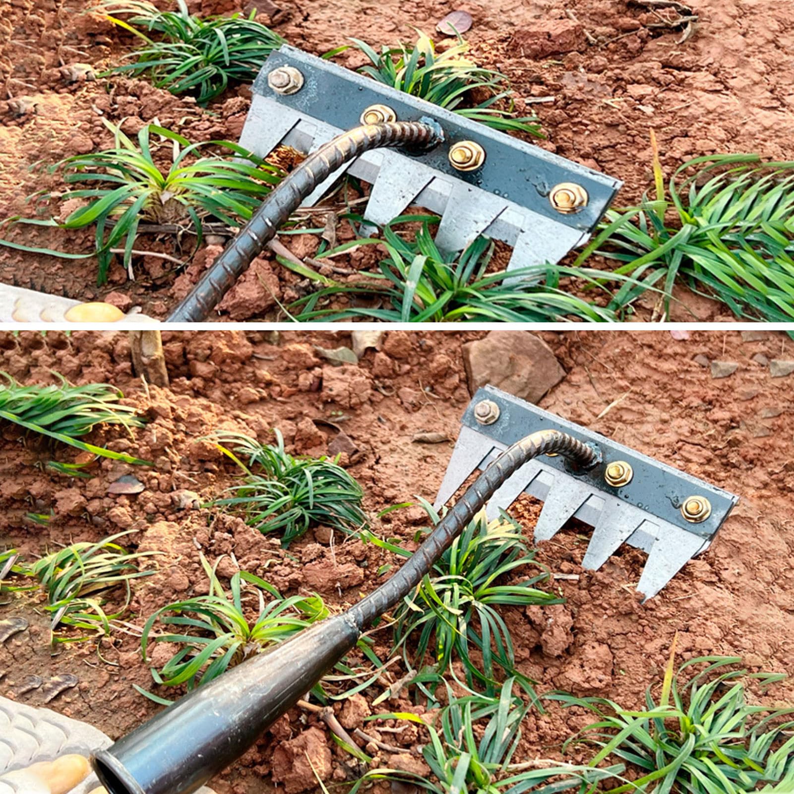 Rastrillo de acero al carbono para desherbar el jardín, de 5/6/7/8 dientes, de hierro para jardinería y desherbar, desmontable, para desmalezar el césped del patio y aflojarlo.