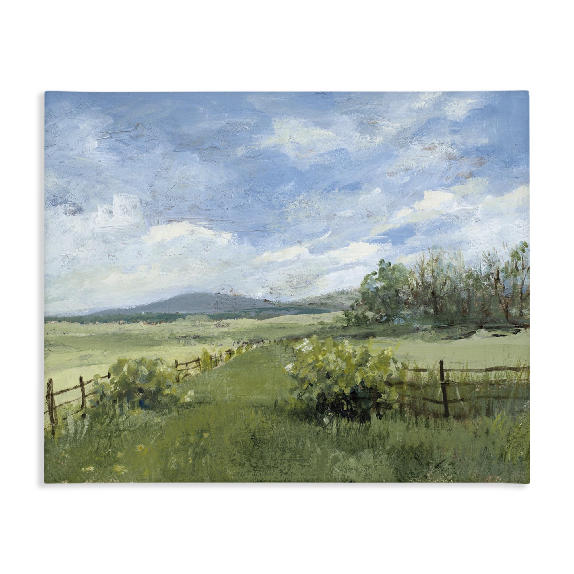 Stupell Industries Serene Countryside Horizon Landscape 'Thank You Nature Landscape'| Canvas Art