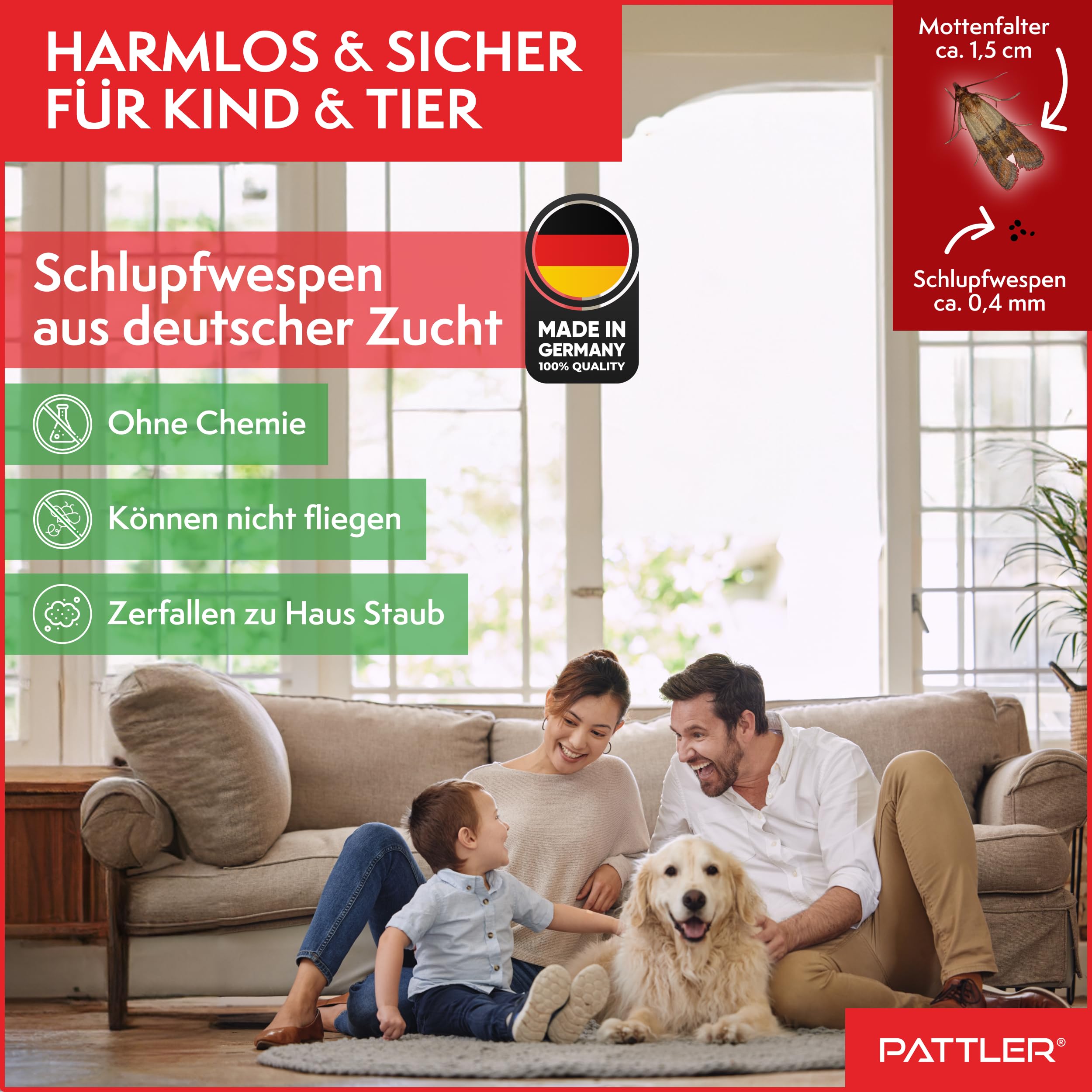 PATTLER® Schlupfwespen gegen Kleidermotten – 4 Karten à 1 Lieferung – Kleidermotten bekämpfen ohne Chemie – Alternative zur Mottenfalle, Mottenspray & Pheromonfalle