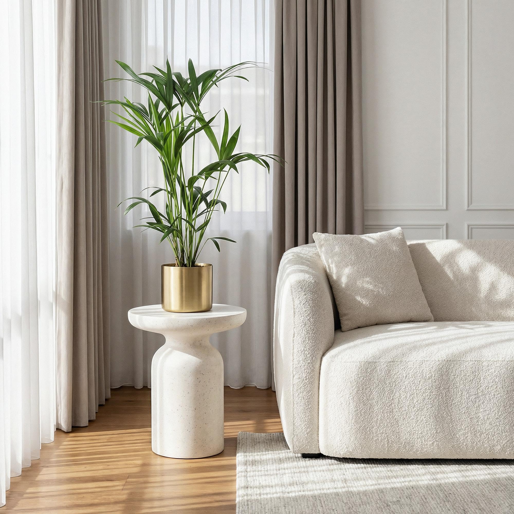 Howea Forsteriana Palma Kentia, 2 rośliny, 80-85 cm, 19 cm, łatwa w pielęgnacji, palmy pokojowe z eleganckimi liśćmi, tropikalne, oczyszczające powietrze zielone rośliny do nowoczesnych wnętrz