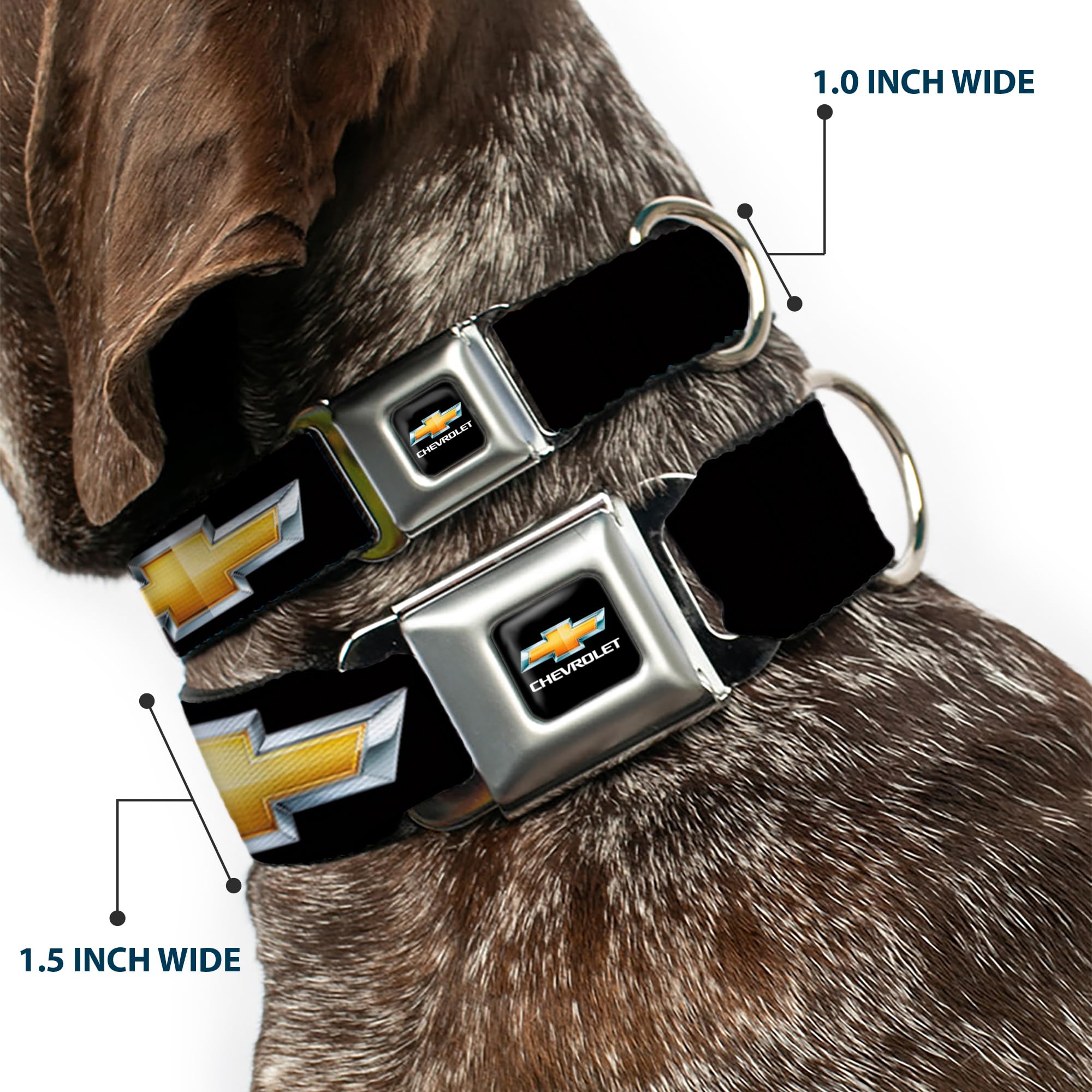 Buckle Down 22,9–38,1 cm chb-Chevy Schleife Full Color Schwarz/Gold Hund Halsband