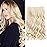 REECHO 24 1-pack 3/4 Full Head Curly Wave Clips in on Synthetic Hair Extensions HE008 Hair pieces for Women 5 Clips 4.5 Oz Per Piece - Light Blonde