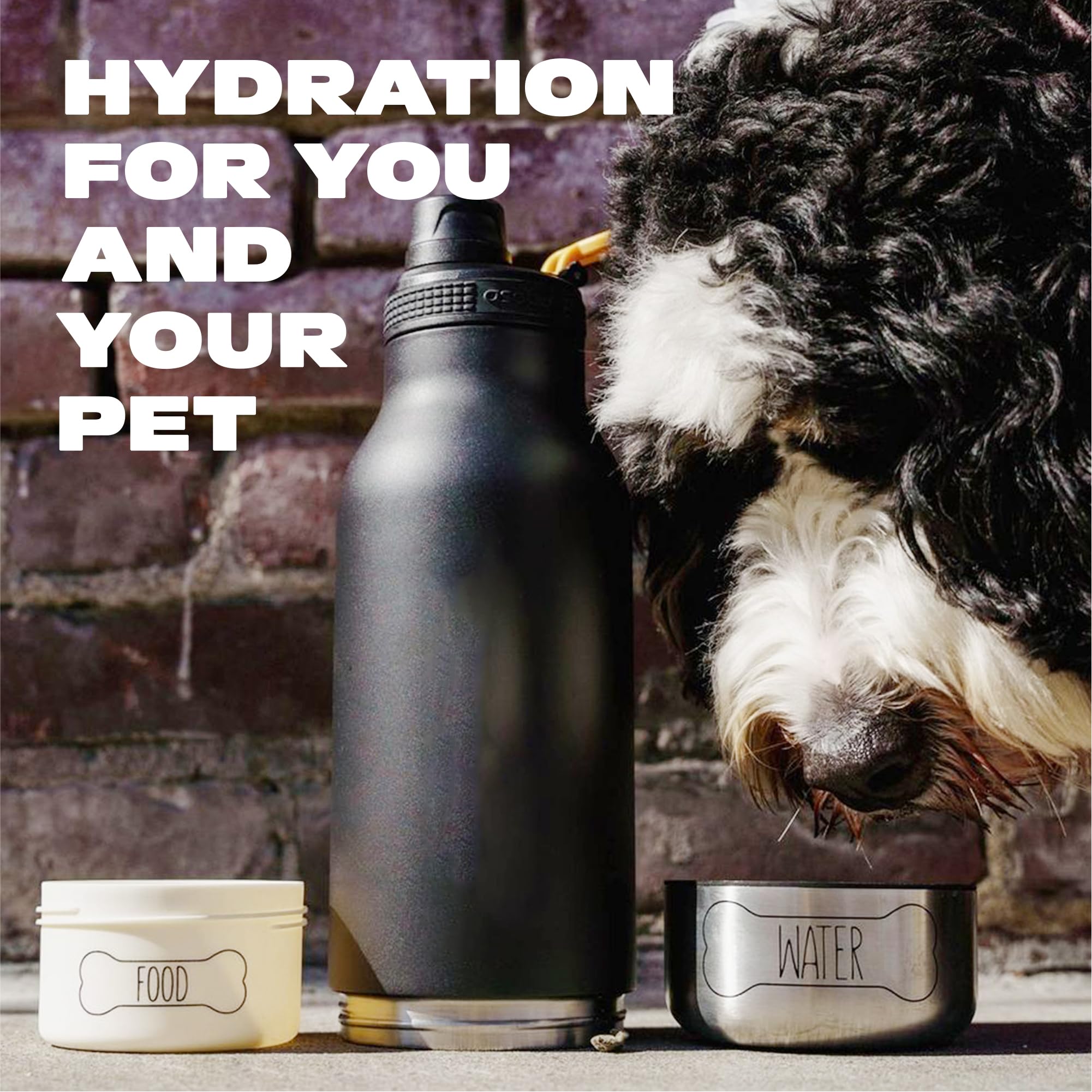 Asobu Buddy Bottle - Borraccia termica in acciaio inox, con ciotola per l'acqua rimovibile per cani e cibo per cani (verde pastello, 963,9 g)