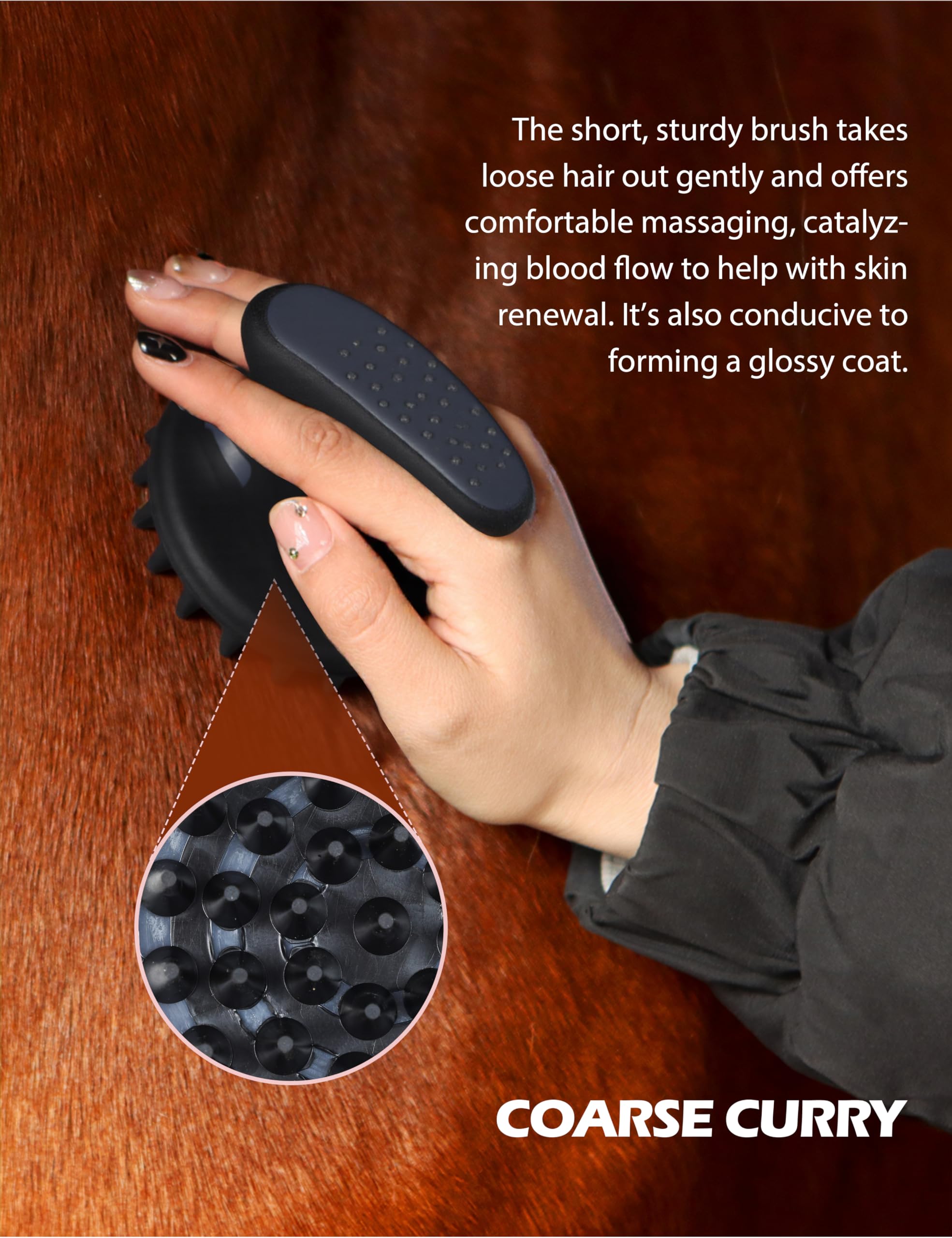 Harrison Howard Kit de aseo de caballos de 9 piezas Equine Care Series - Juego de cepillos para caballos con bolsa organizadora negra