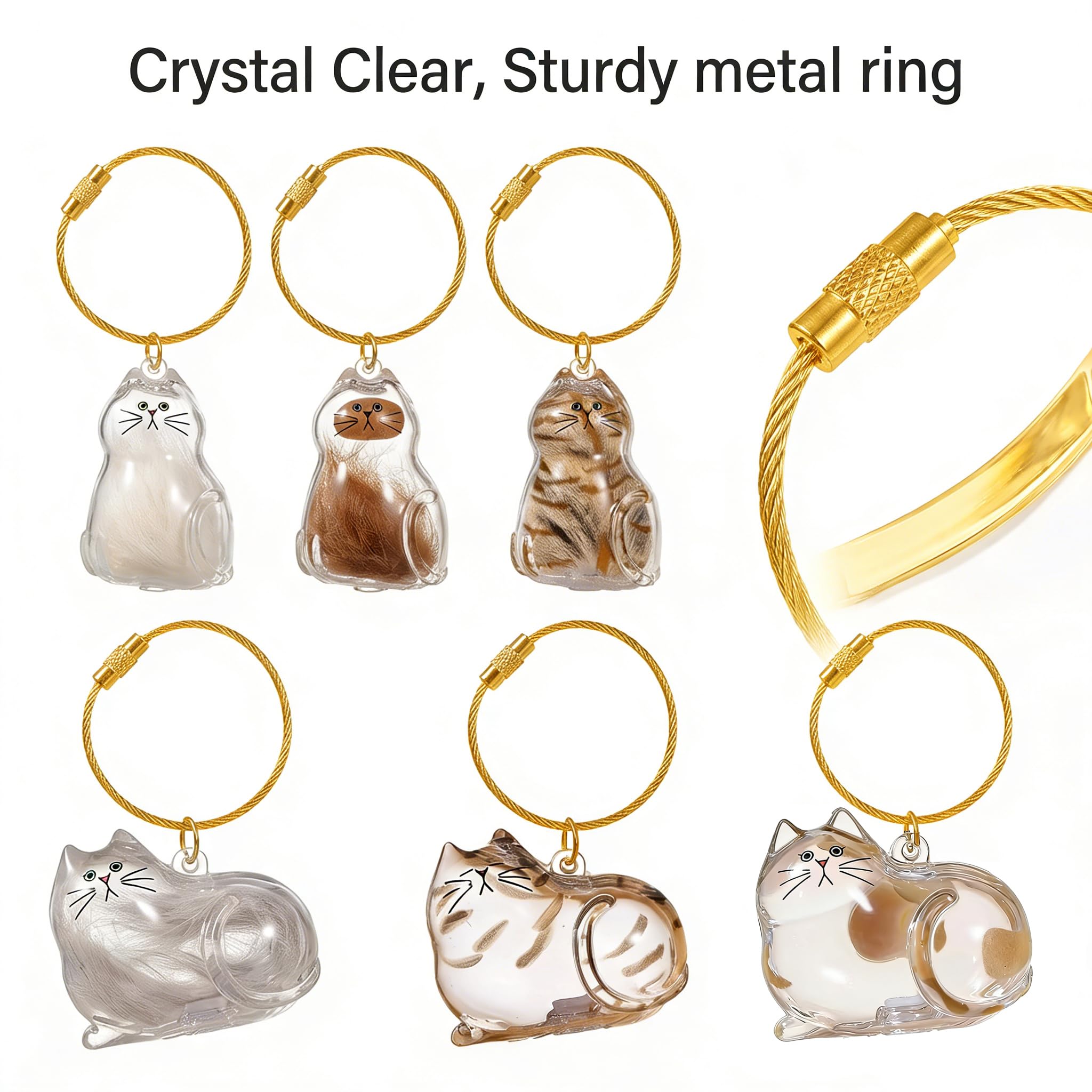 Lot de 6 porte-clés en poils de chat, pendentif DIY en poils de chat, boîte de rangement transparente pour poils de chat, cadeau commémoratif créatif pour les amoureux des animaux