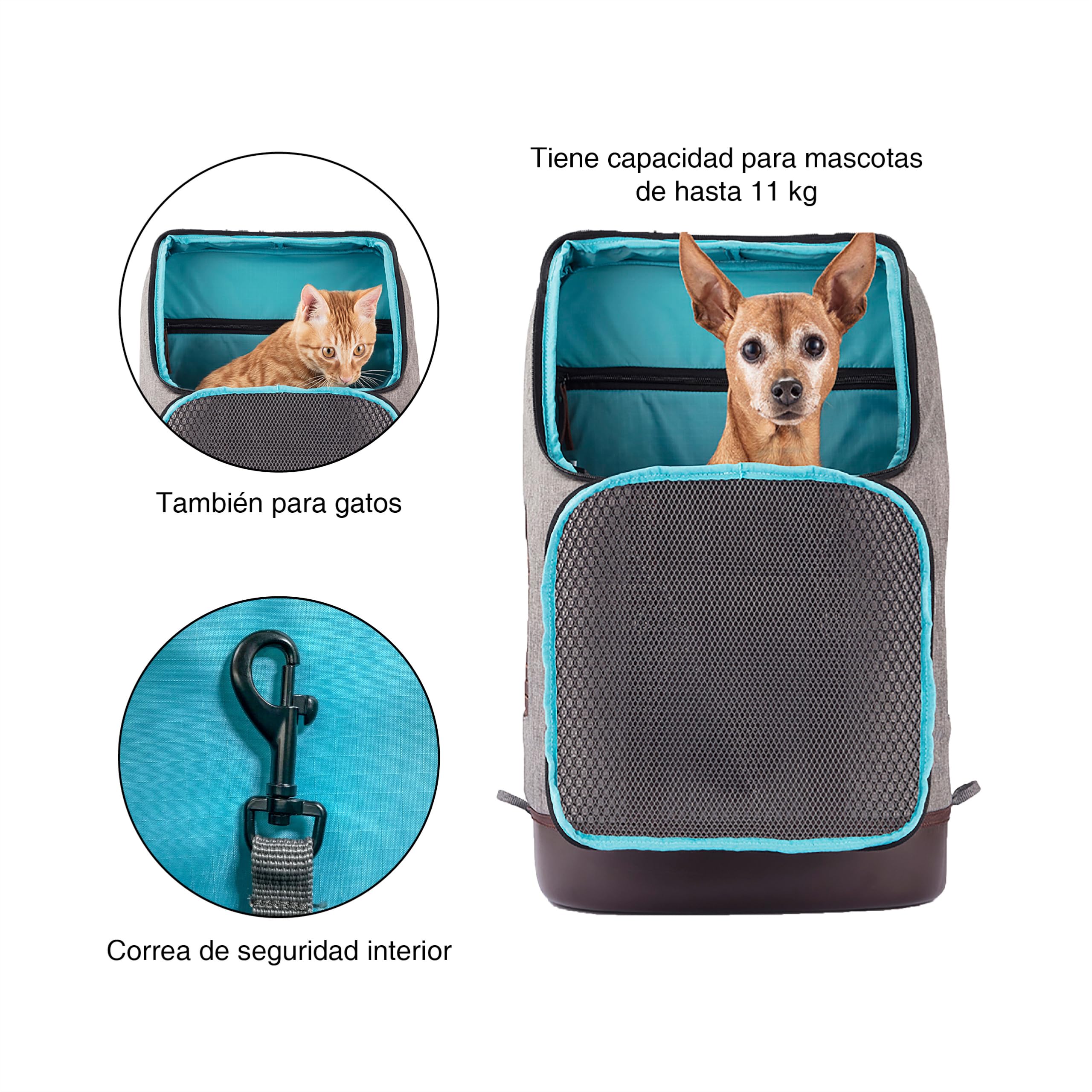 Kurgo Mochila Transportín para Mascotas Pequeñas | Manos Libres, Base Armorsole, Convertible en Transportín, Tela Resistente