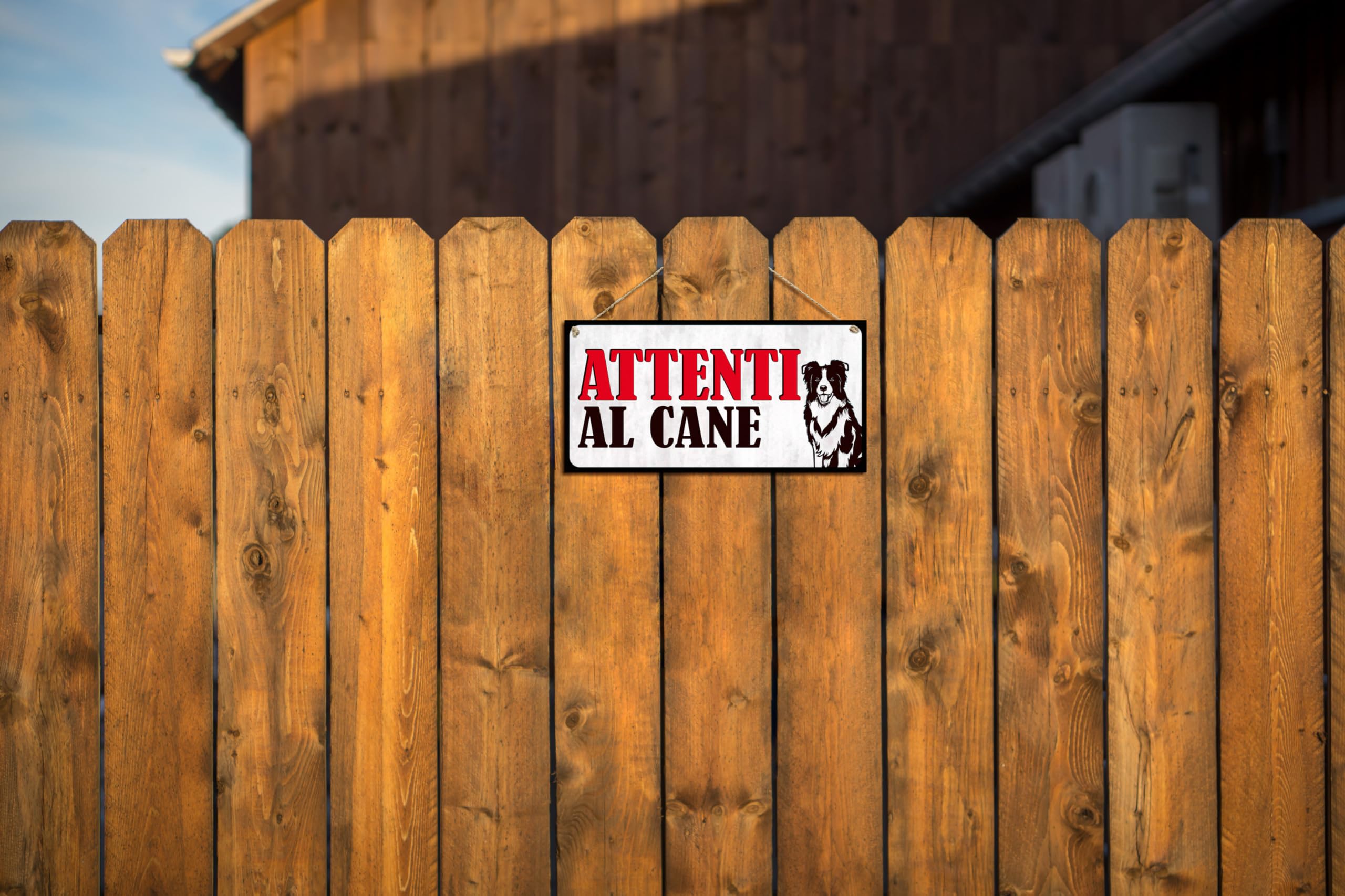 CARISPIBET Attenzione al Cane Cartello di Avviso per Esterni in PVC con Border Collie 15 x 30 cm