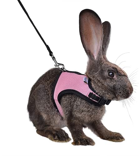 Niteangel Adjustable Soft Harness with Elastic Leash for Rabbits (M,
