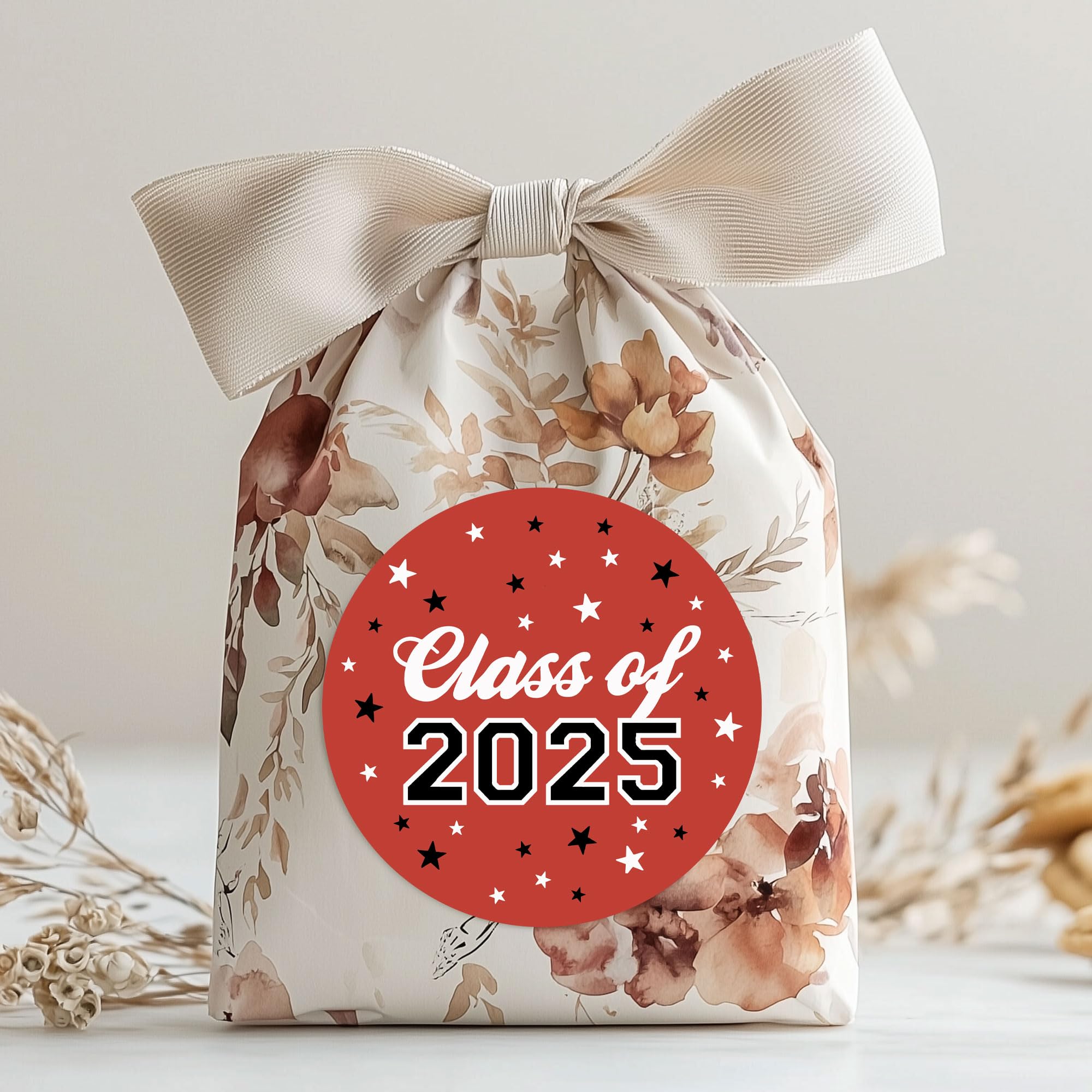 Snapklik.com : 120 Pack Class Of 2025 Graduation Stickers Red Party ...